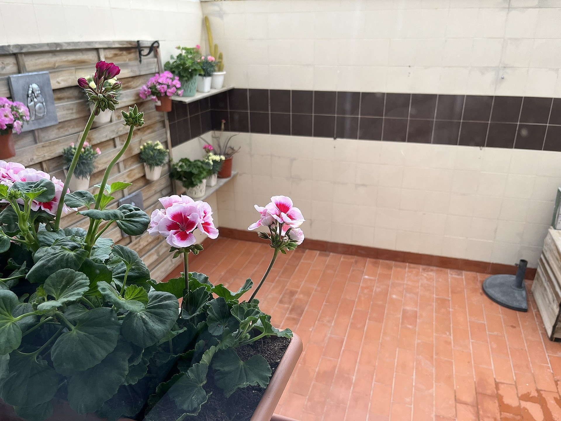 Resale - 3 Bedroom 2 Bathroom Townhouse in Cañada de la Leña -  - Murcia