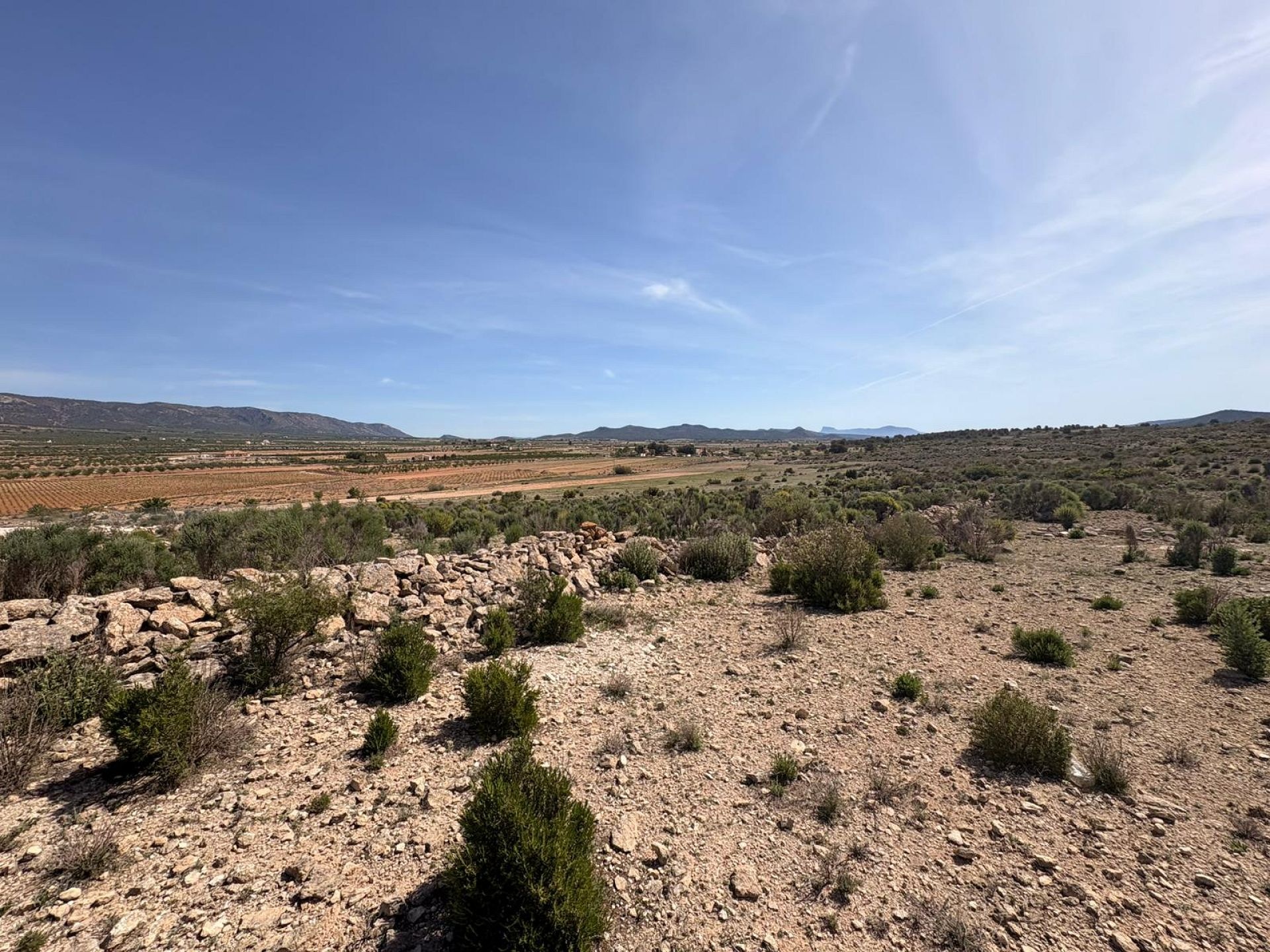 Resale - Land in Pinoso -  - Alicante