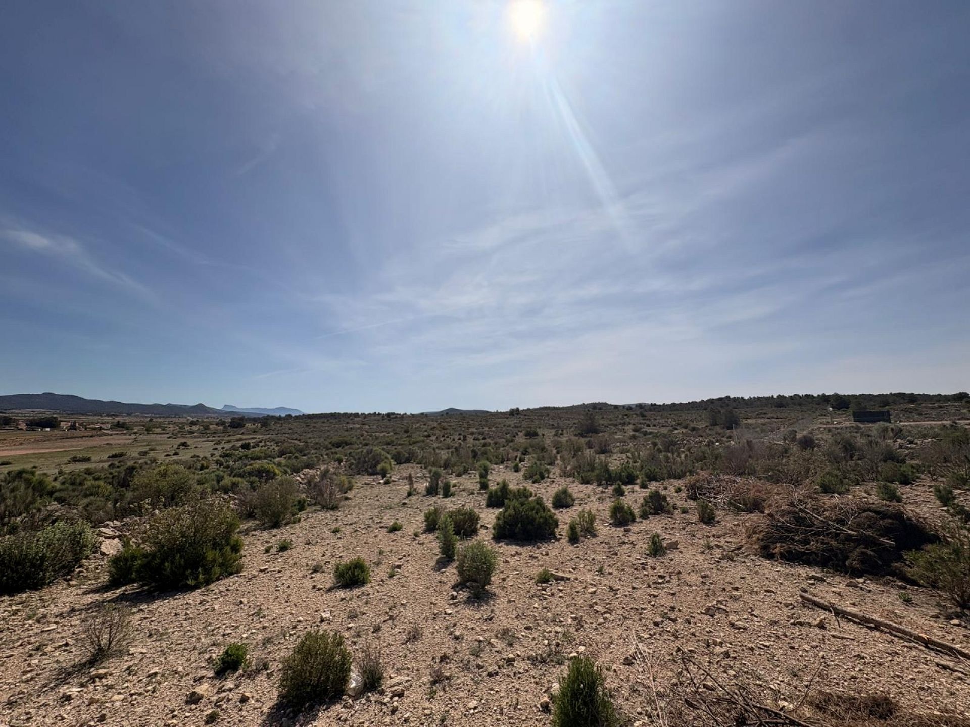 Resale - Land in Pinoso -  - Alicante