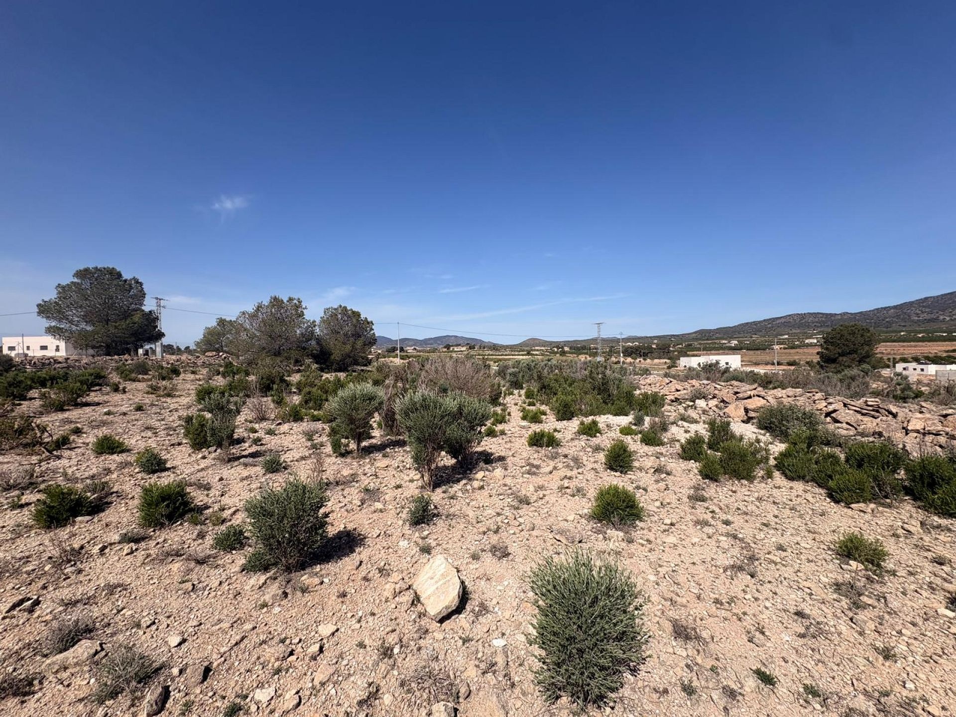 Resale - Land in Pinoso -  - Alicante