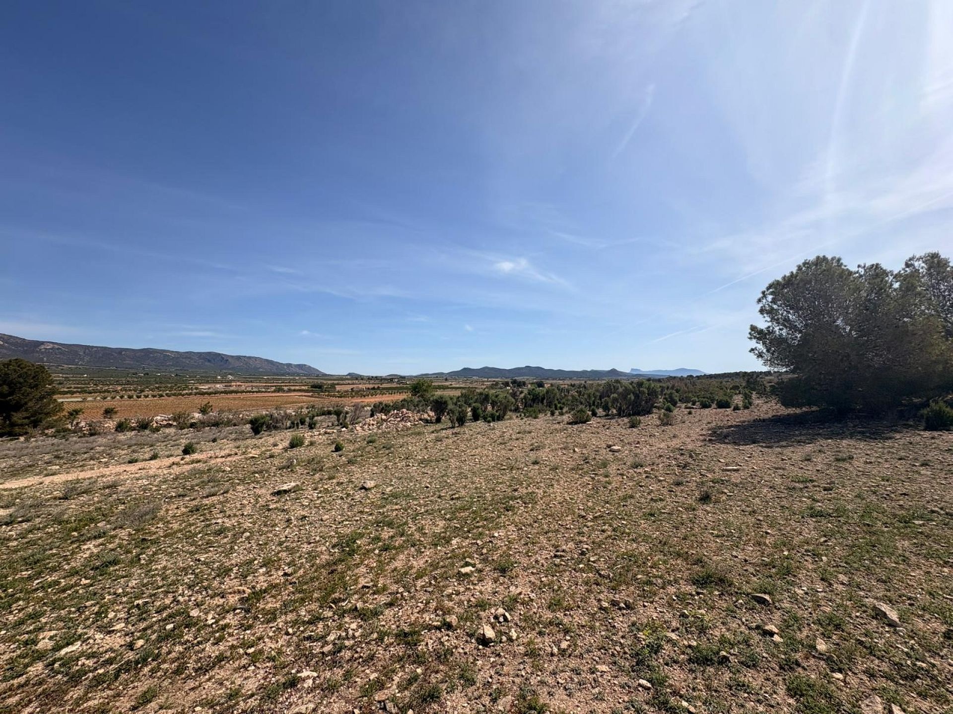 Resale - Land in Pinoso -  - Alicante