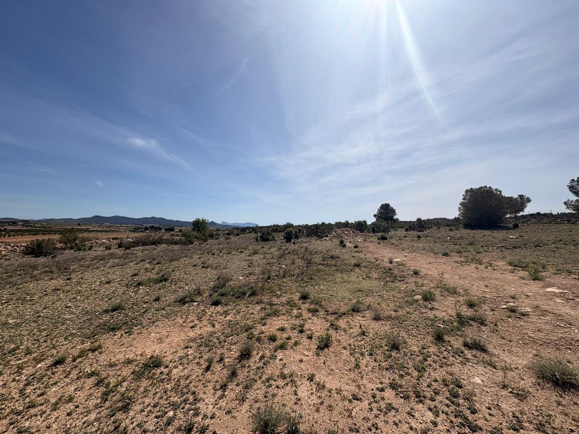 Resale - Land in Pinoso -  - Alicante