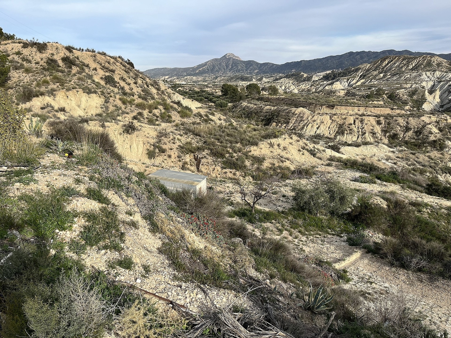 4 Bedroom 1 Bathroom Cave House in Abanilla