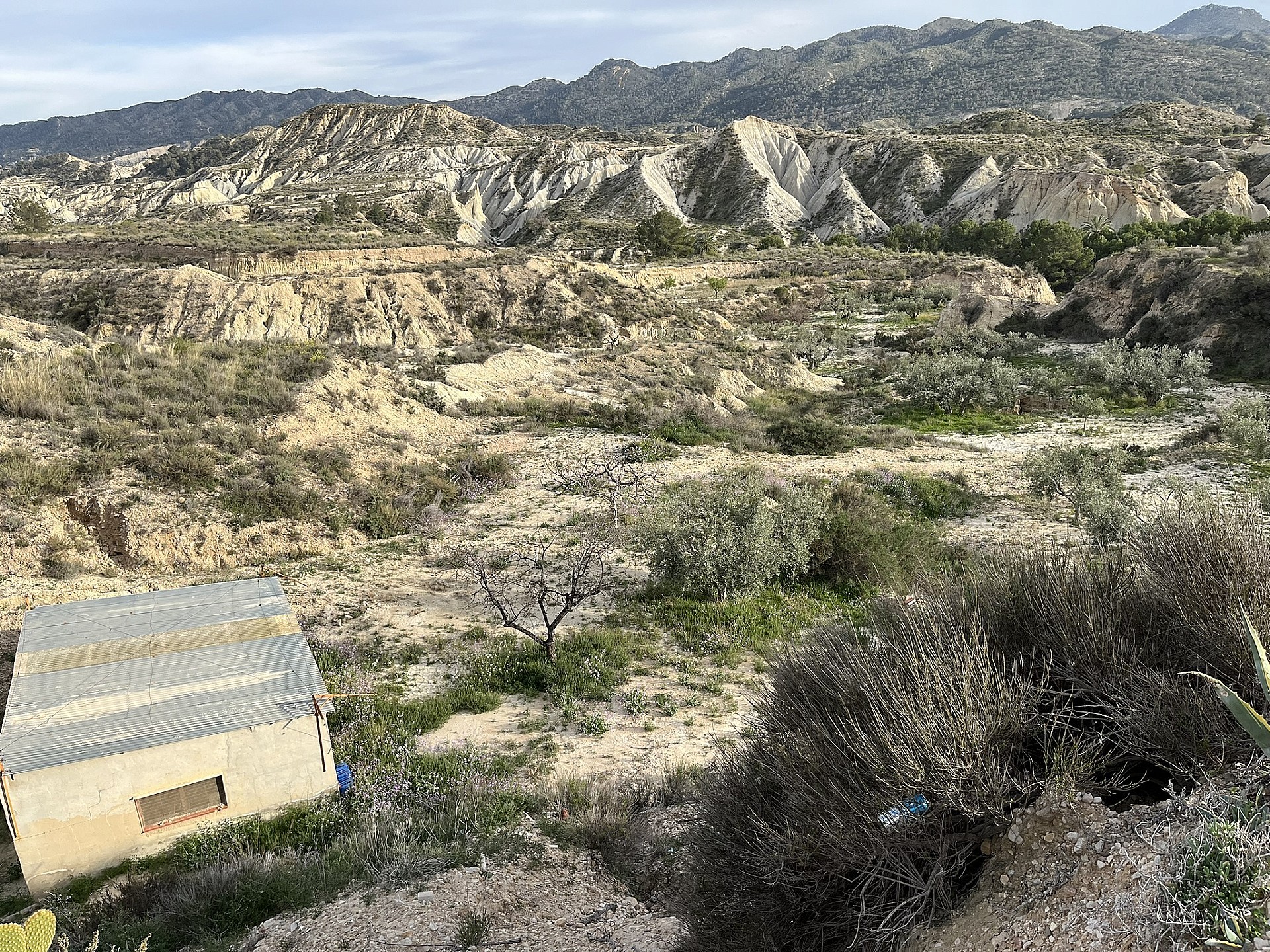 Resale - 4 Bedroom 1 Bathroom Cave House in Abanilla -  - Murcia