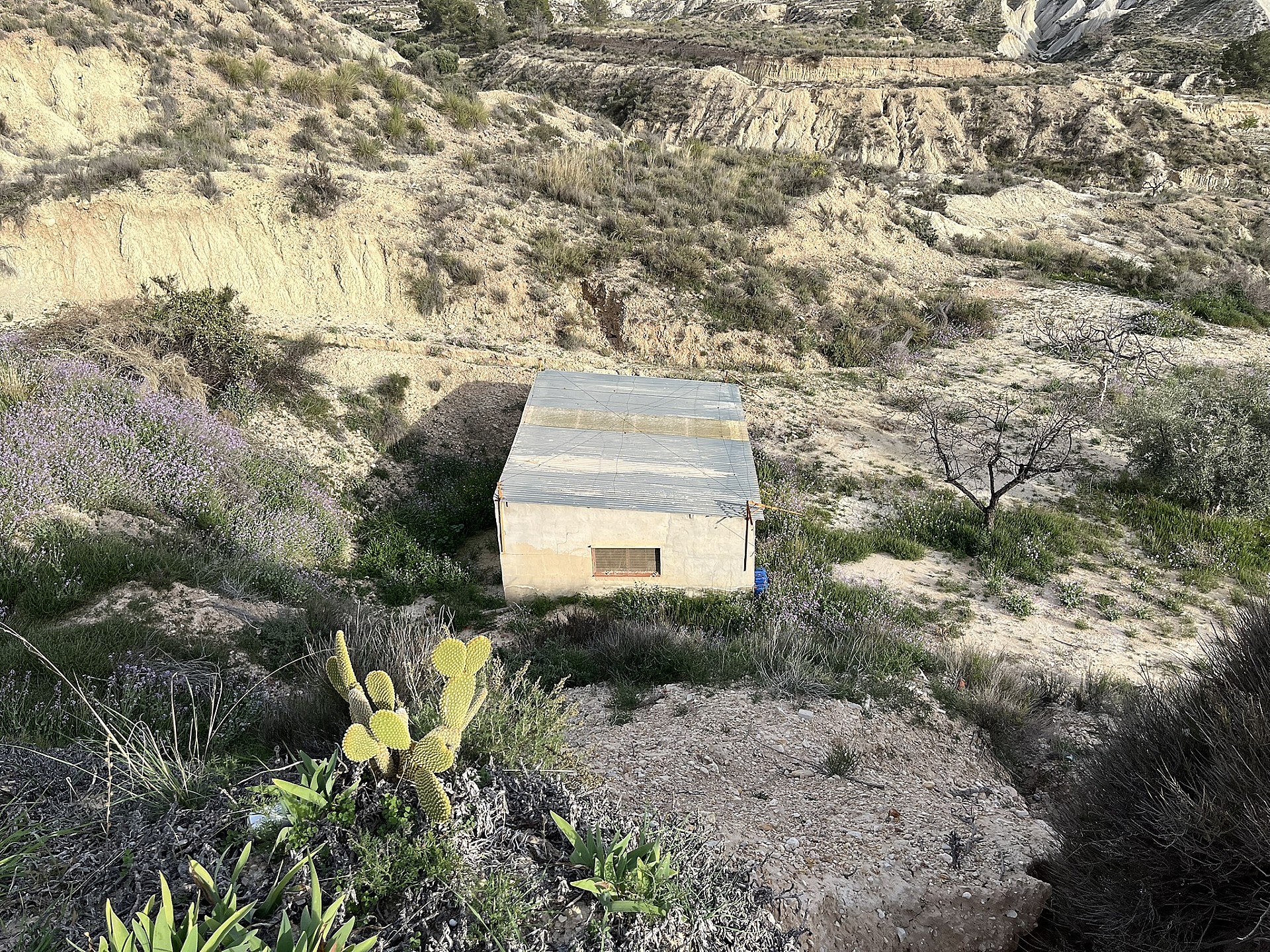 Resale - 4 Bedroom 1 Bathroom Cave House in Abanilla -  - Murcia