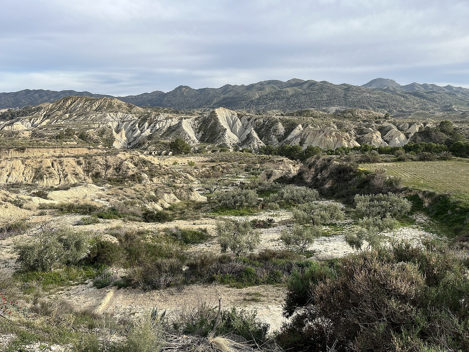 Resale - 4 Bedroom 1 Bathroom Cave House in Abanilla -  - Murcia