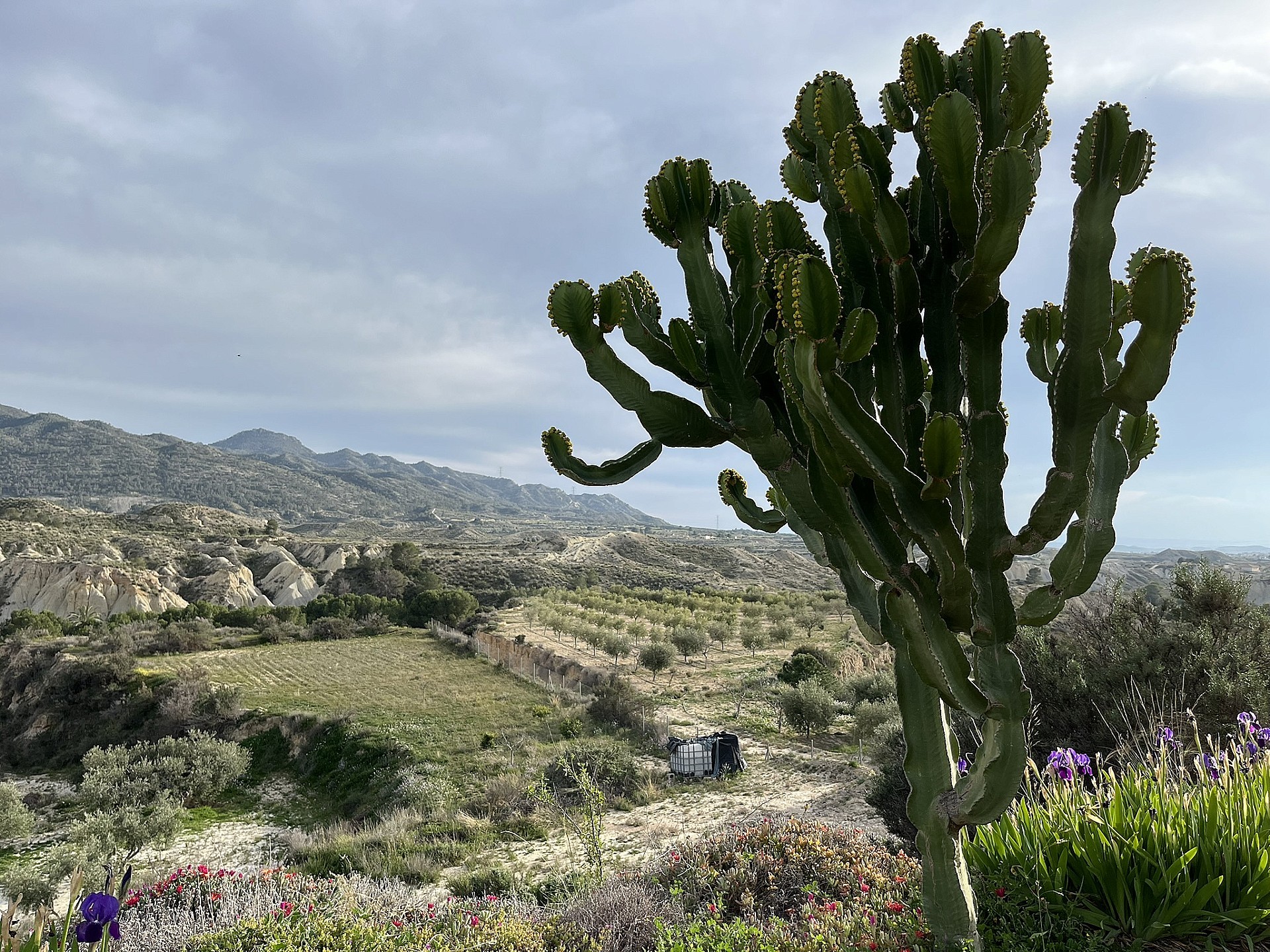 Resale - 4 Bedroom 1 Bathroom Cave House in Abanilla -  - Murcia