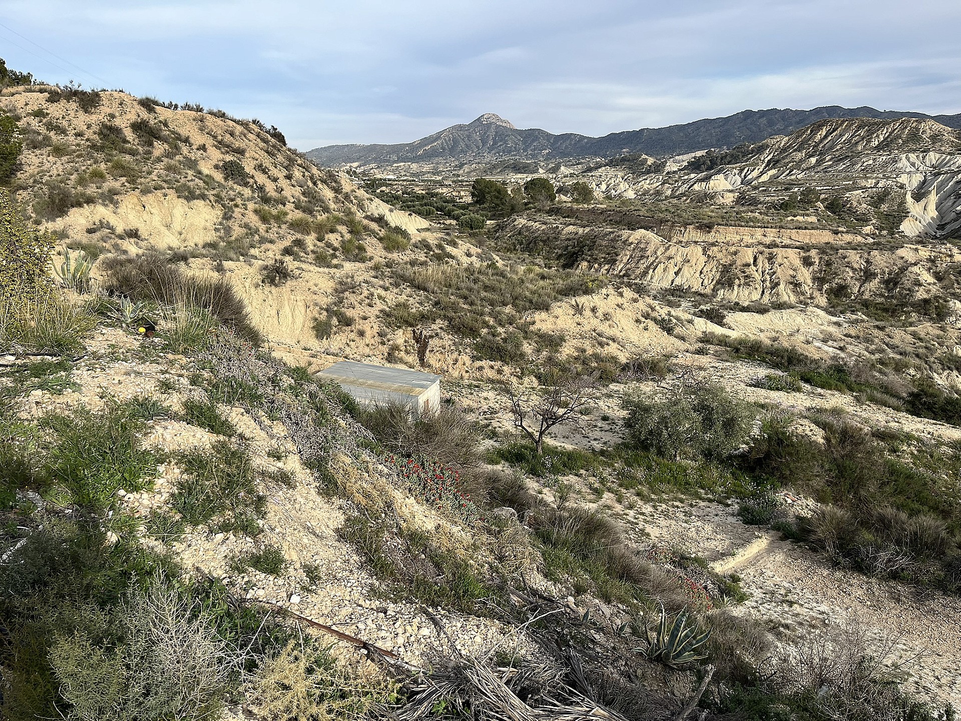 Resale - 4 Bedroom 1 Bathroom Cave House in Abanilla -  - Murcia