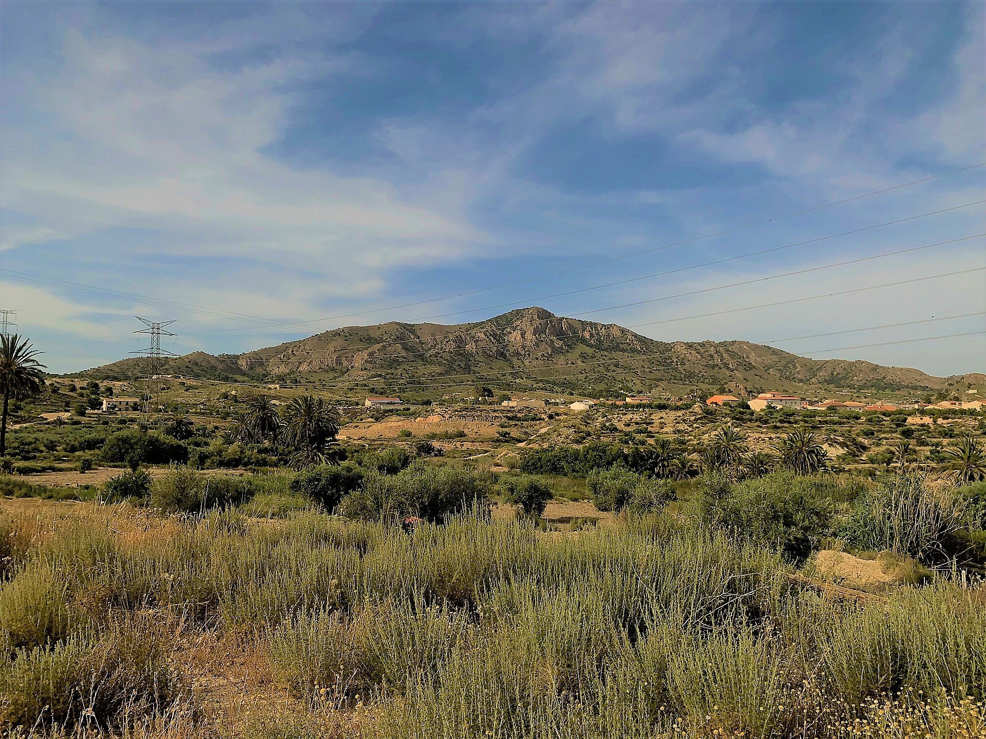 Resale - 3 Bedroom 2 Bathroom Country house in Barinas -  - Murcia