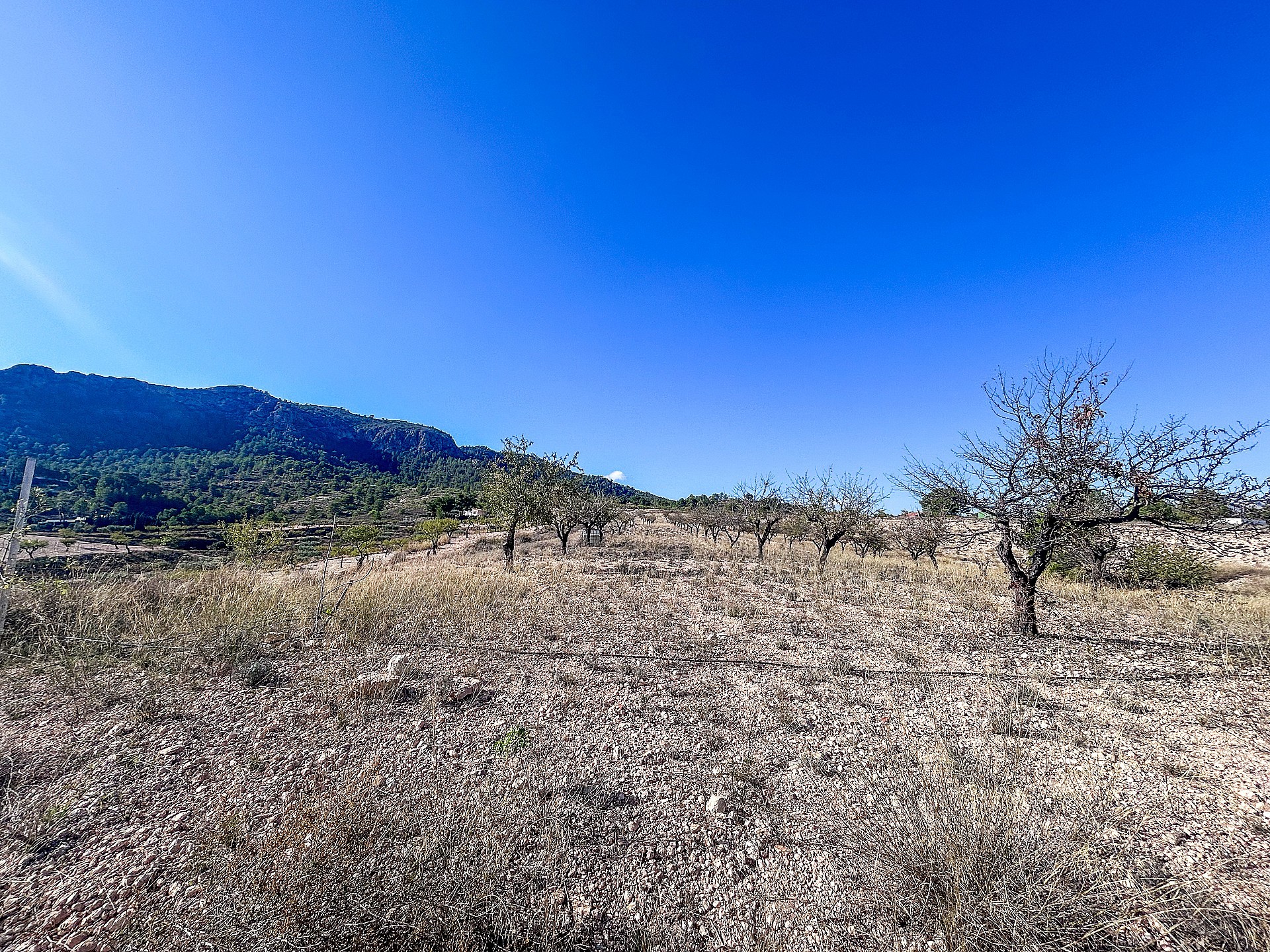 Resale - 2 Bedroom 1 Bathroom Finca in Elda -  - Alicante