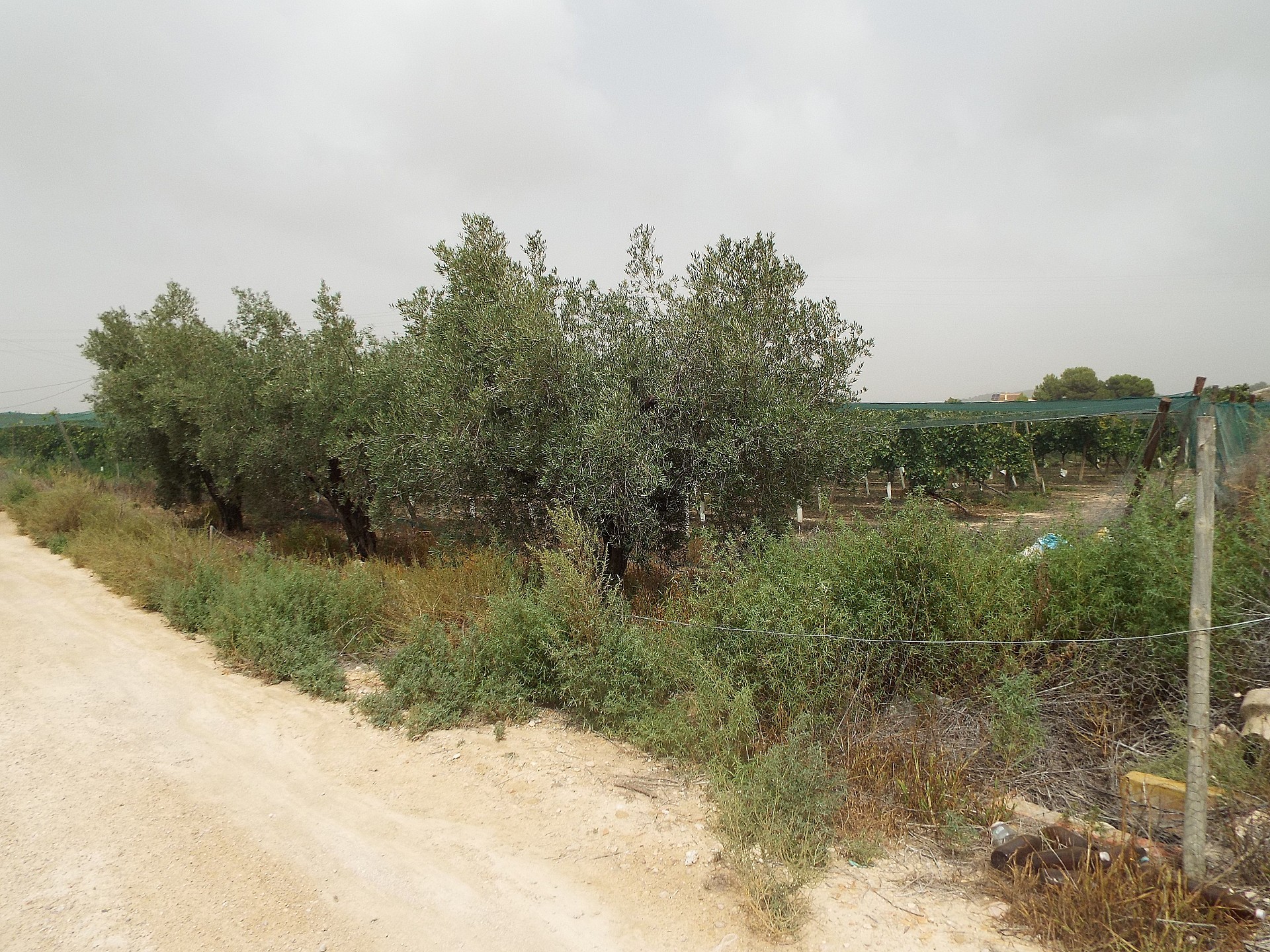 Resale - Land in Monforte Del Cid -  - Alicante