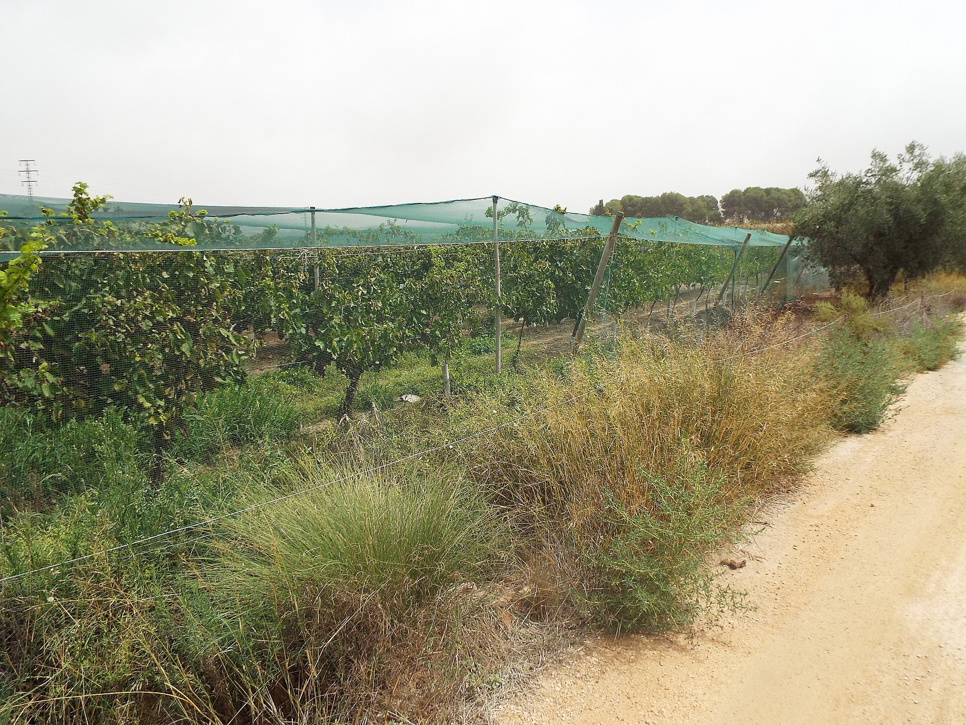 Resale - Land in Monforte Del Cid -  - Alicante