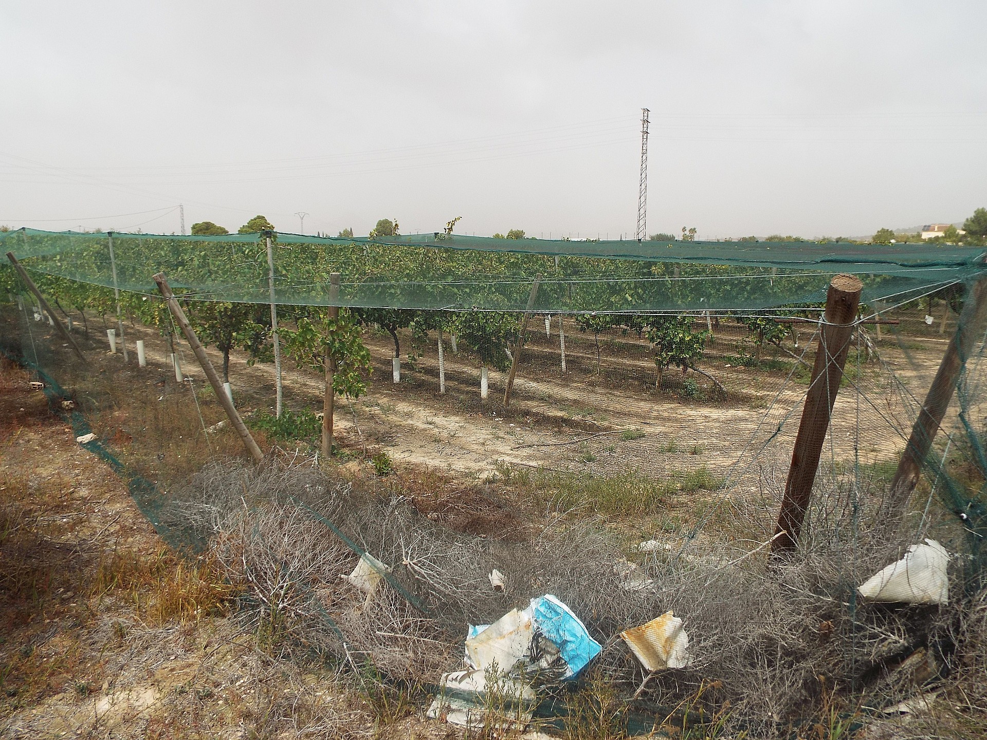 Resale - Land in Monforte Del Cid -  - Alicante