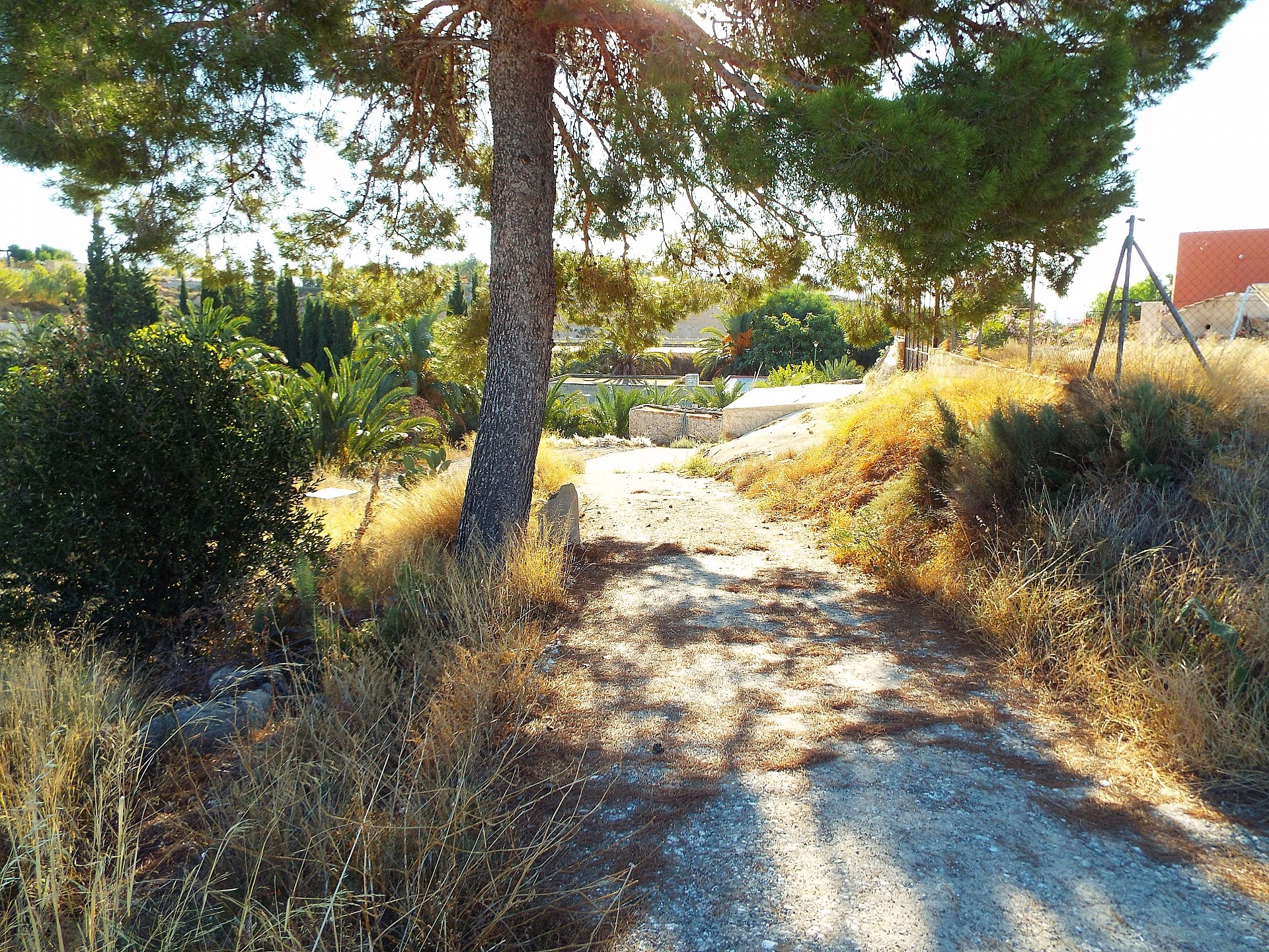 Resale - 12 Bedroom 3 Bathroom Country house in Mahoya -  - Murcia
