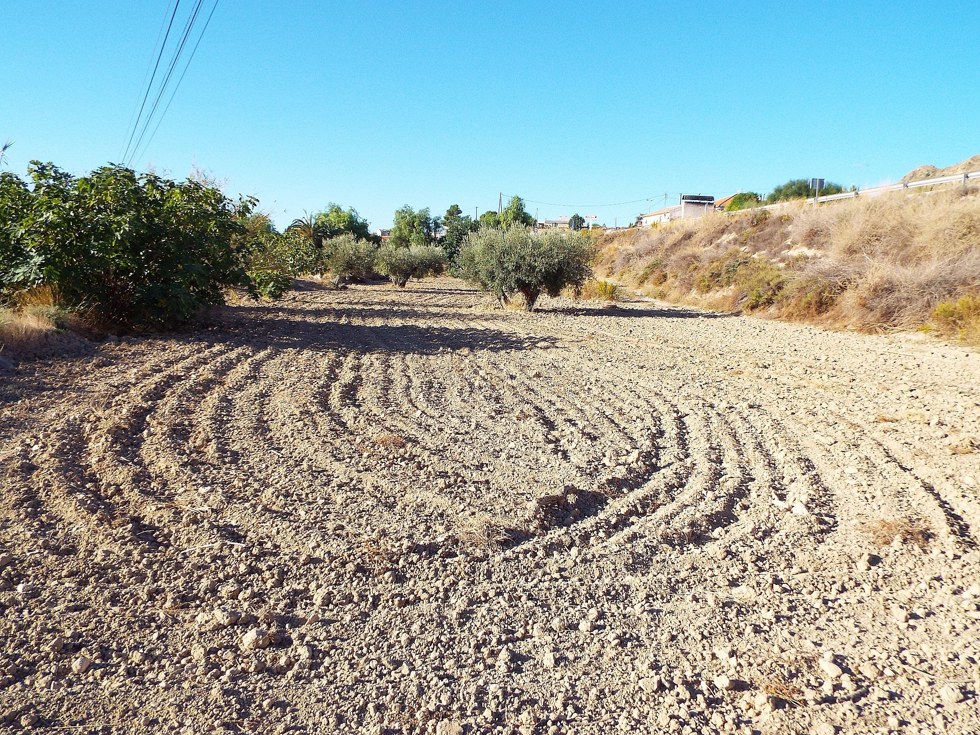 Resale - 12 Bedroom 3 Bathroom Country house in Mahoya -  - Murcia