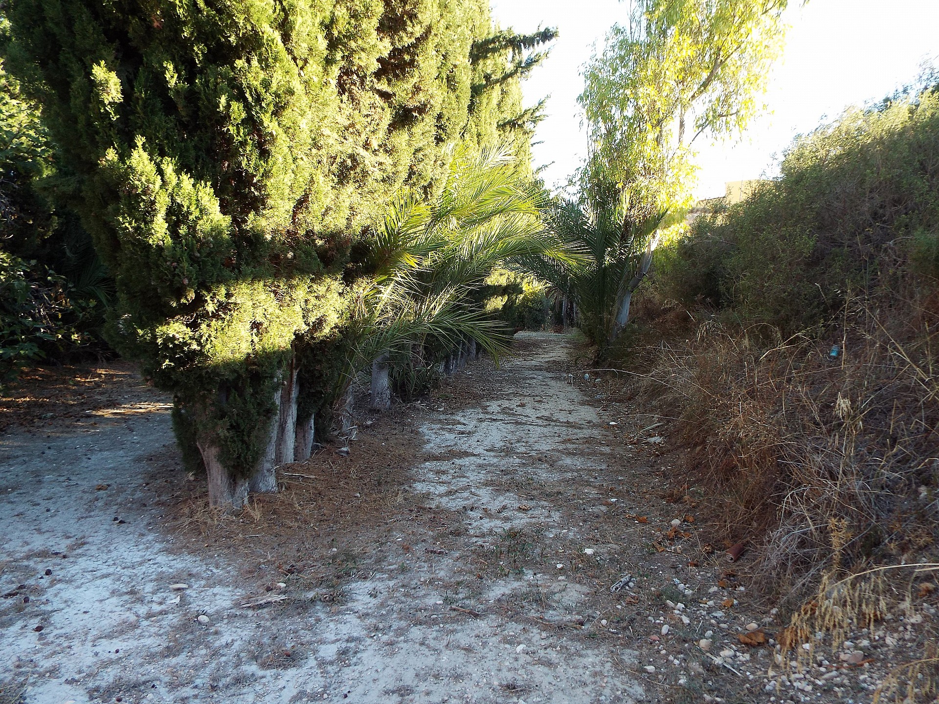 Resale - 12 Bedroom 3 Bathroom Country house in Mahoya -  - Murcia