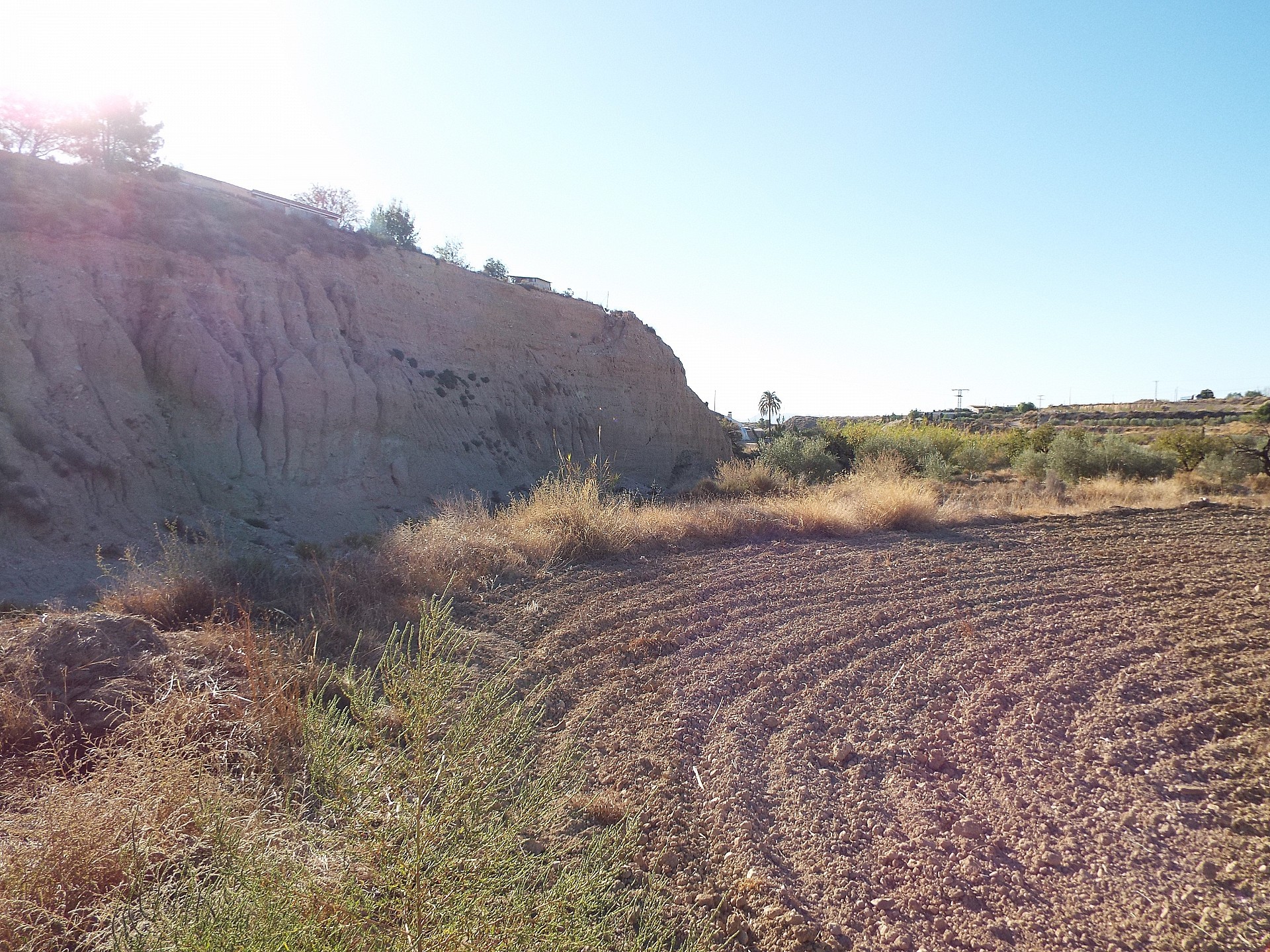 Resale - 12 Bedroom 3 Bathroom Country house in Mahoya -  - Murcia