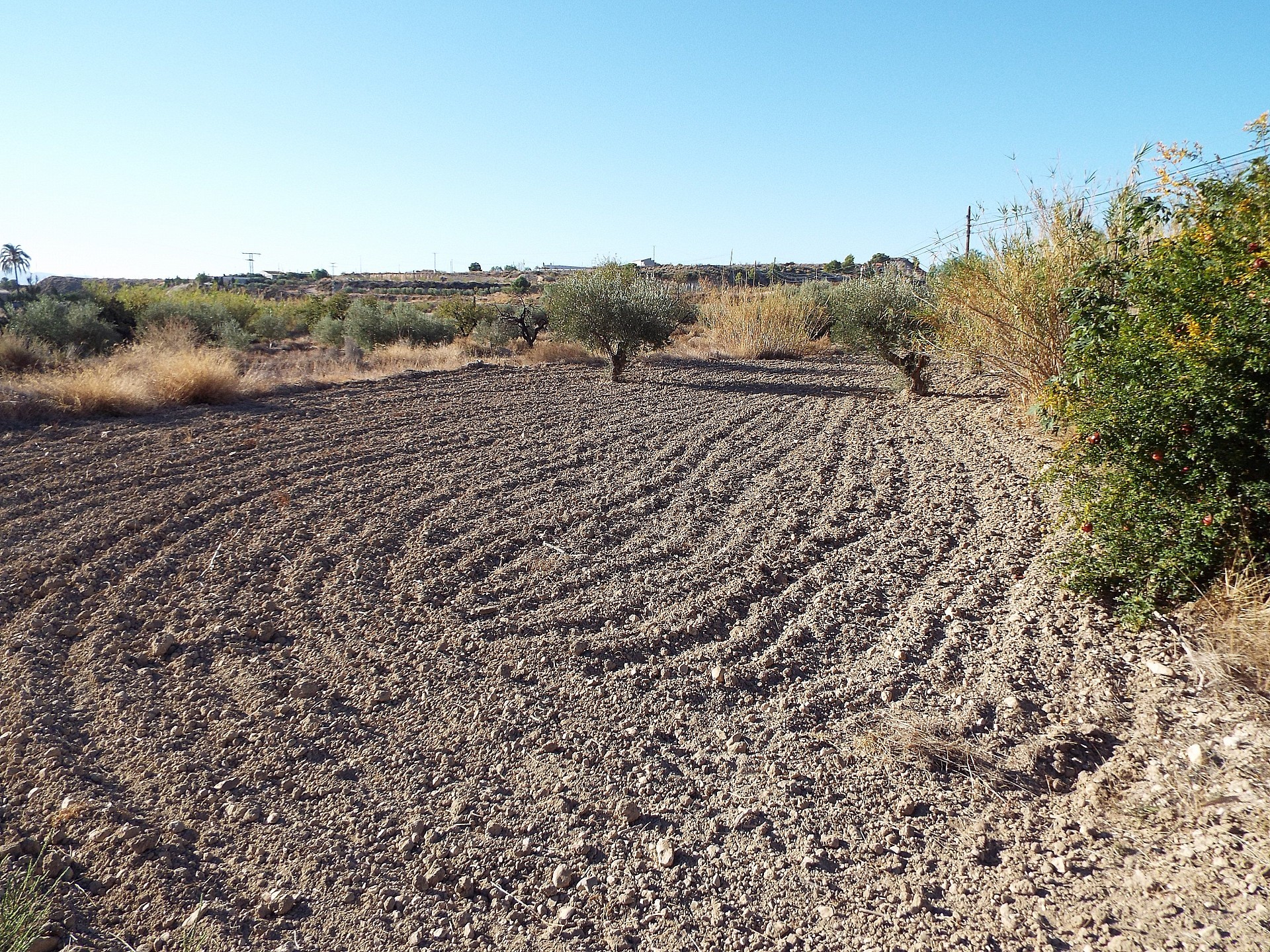 Resale - 12 Bedroom 3 Bathroom Country house in Mahoya -  - Murcia