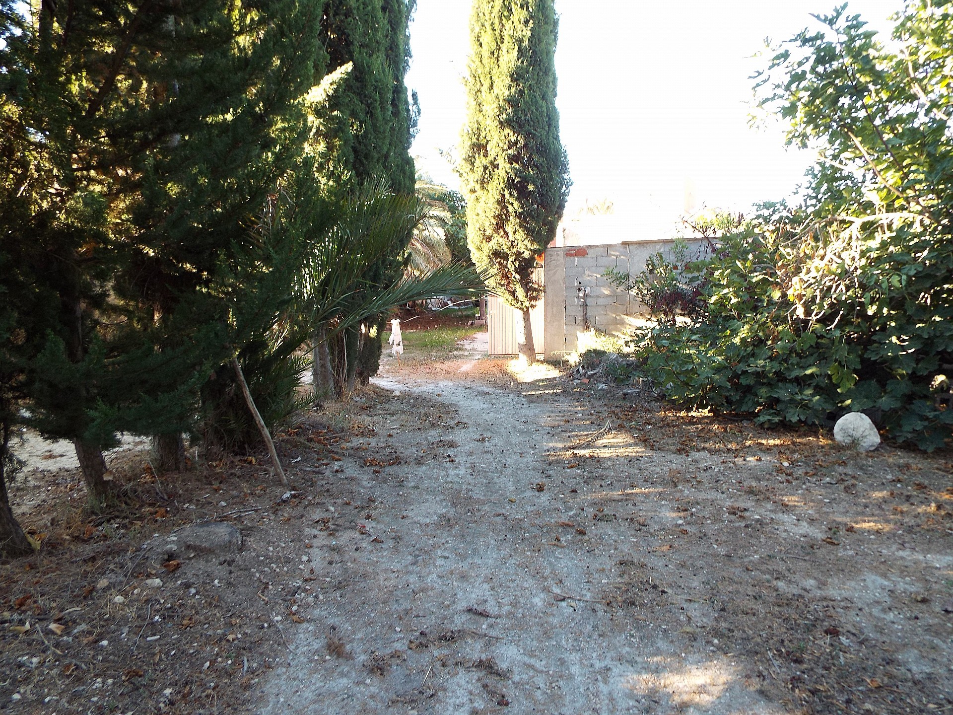 Resale - 12 Bedroom 3 Bathroom Country house in Mahoya -  - Murcia