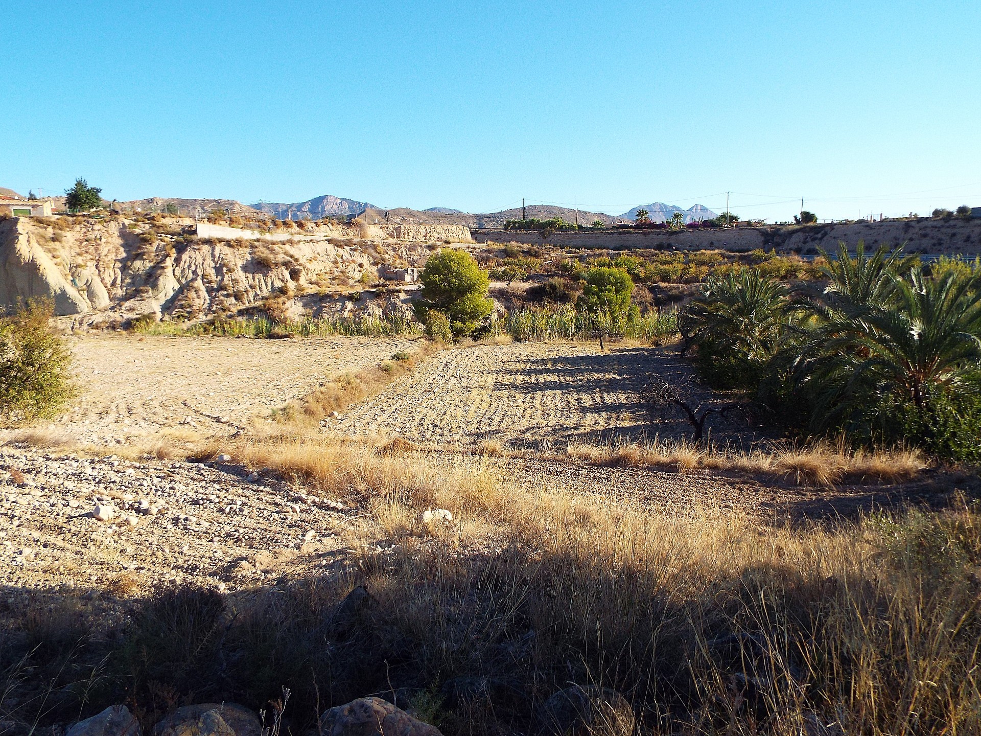 Resale - 12 Bedroom 3 Bathroom Country house in Mahoya -  - Murcia