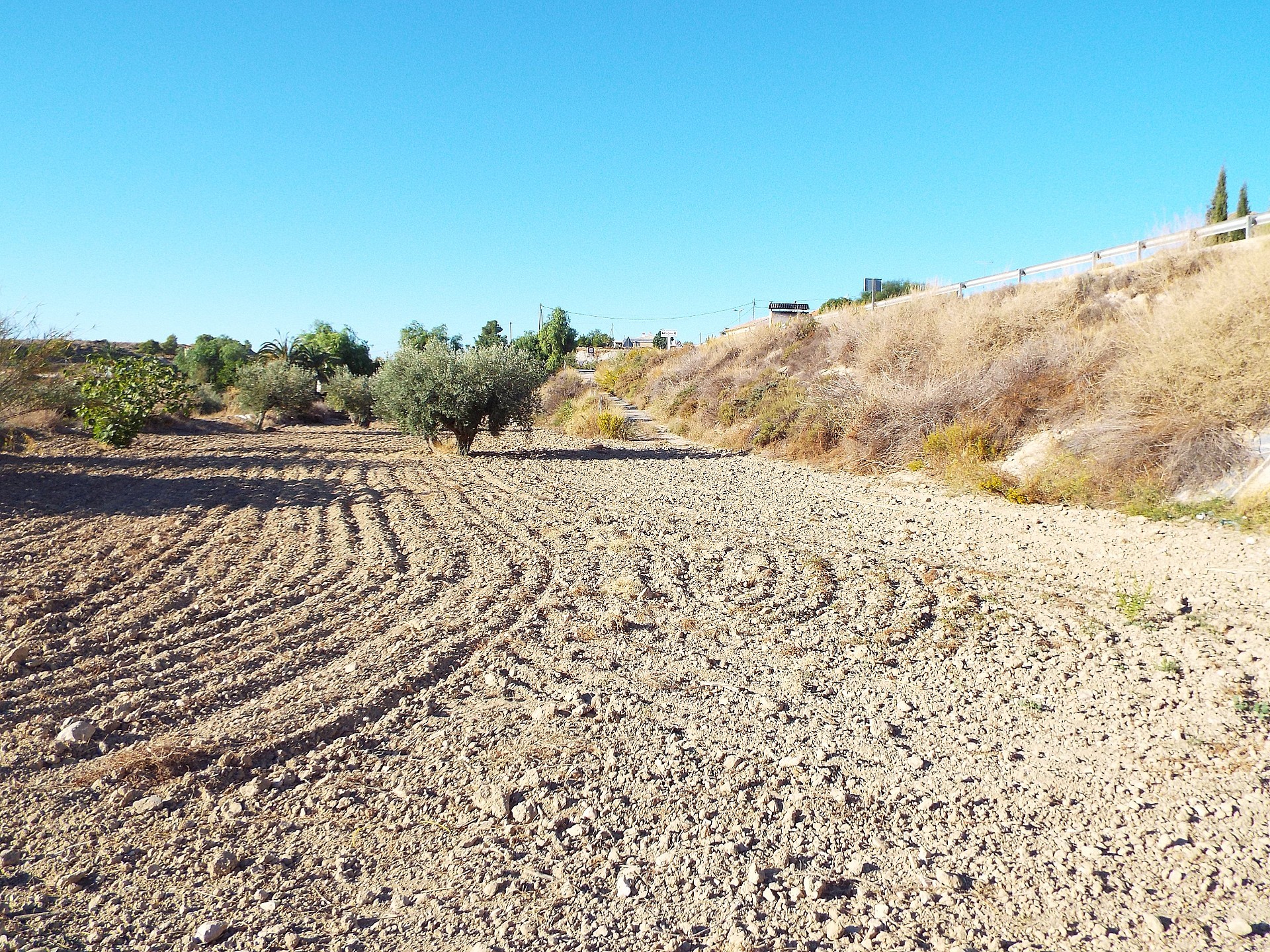 Resale - 12 Bedroom 3 Bathroom Country house in Mahoya -  - Murcia