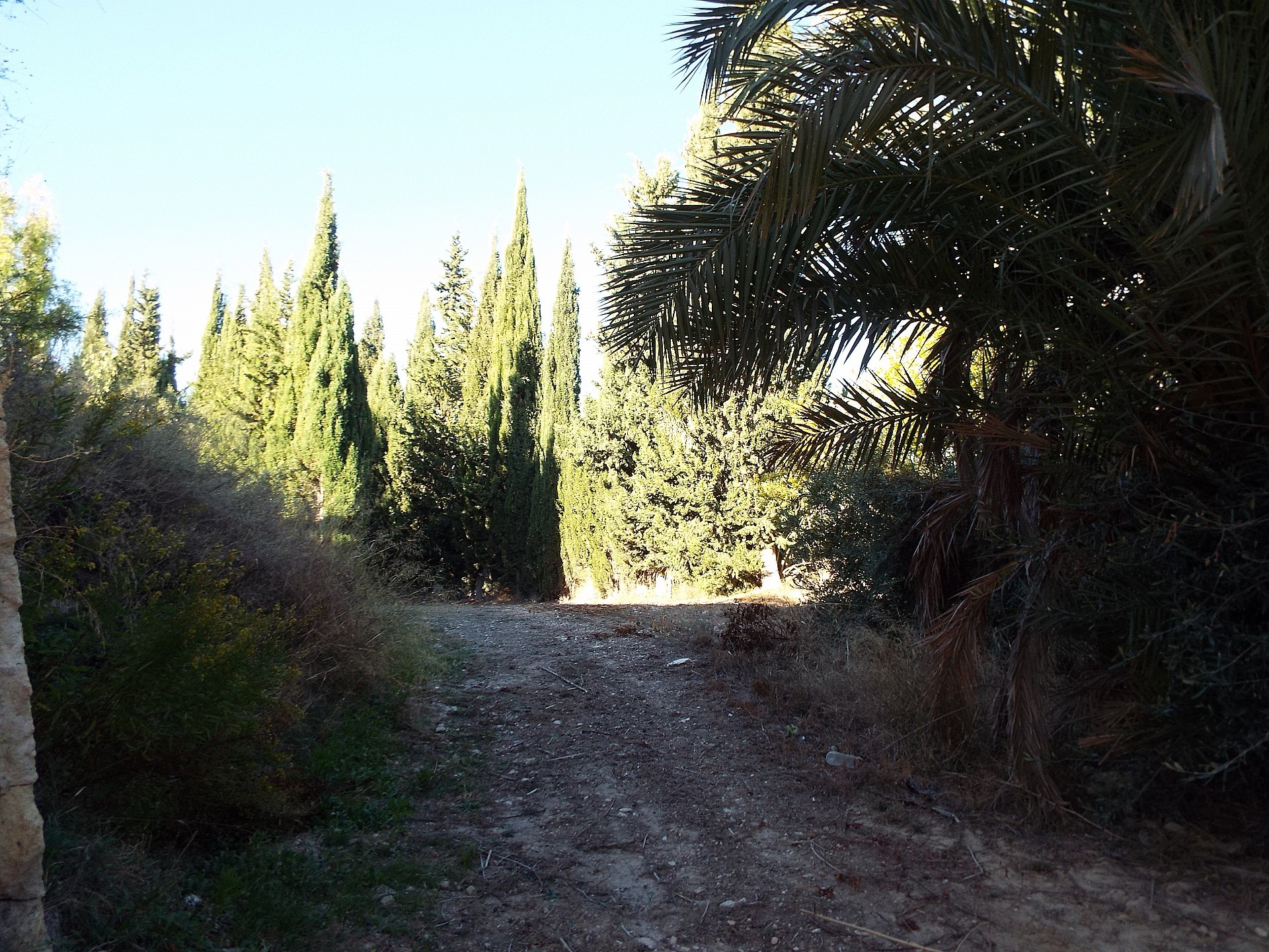 Resale - 12 Bedroom 3 Bathroom Country house in Mahoya -  - Murcia