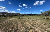 3-17692/5217, Land in Onil
