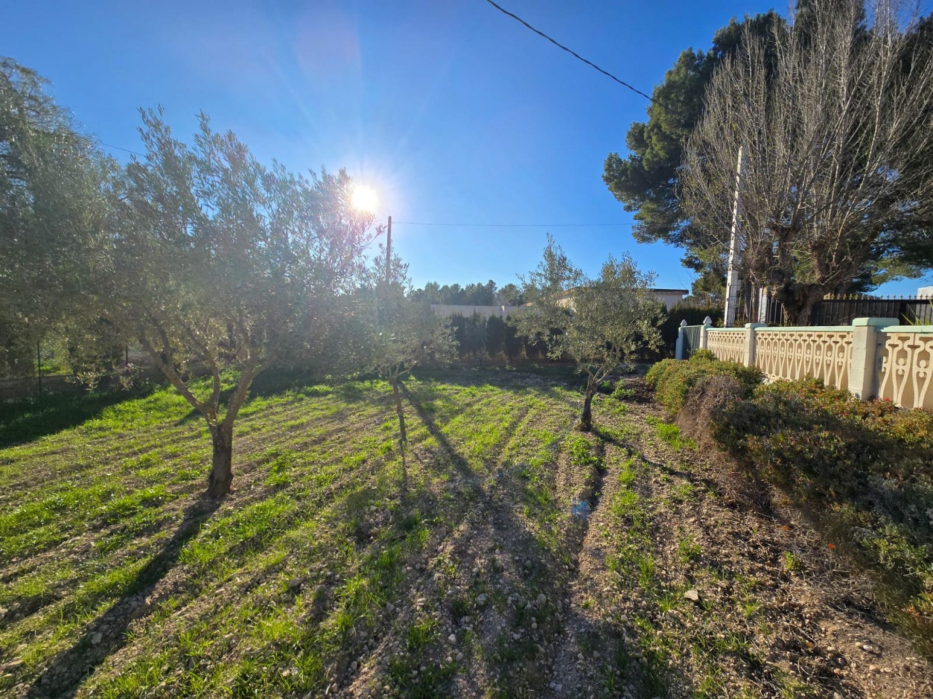 Resale - 3 Bedroom 2 Bathroom Villa in Sax -  - Alicante