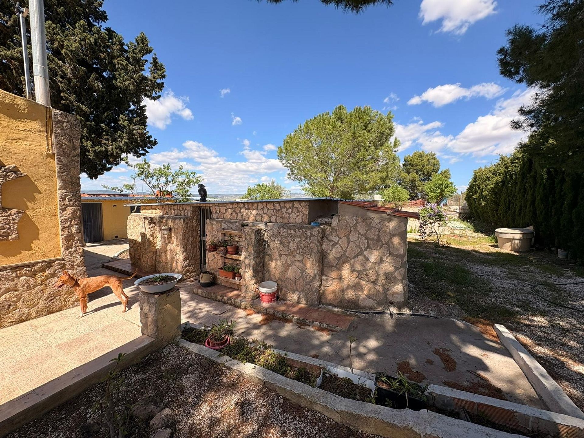 Resale - 3 Bedroom 4 Bathroom Villa in Yecla -  - Murcia