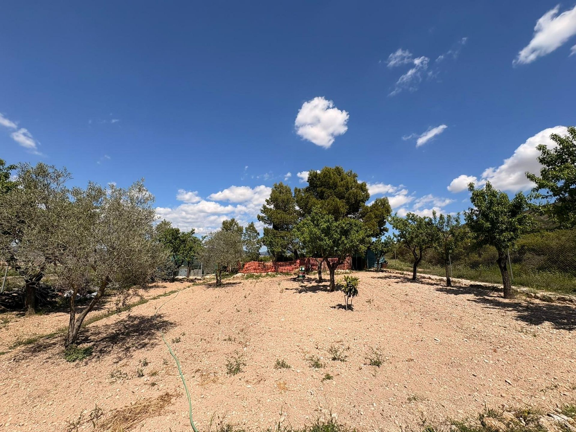 Resale - 3 Bedroom 4 Bathroom Villa in Yecla -  - Murcia