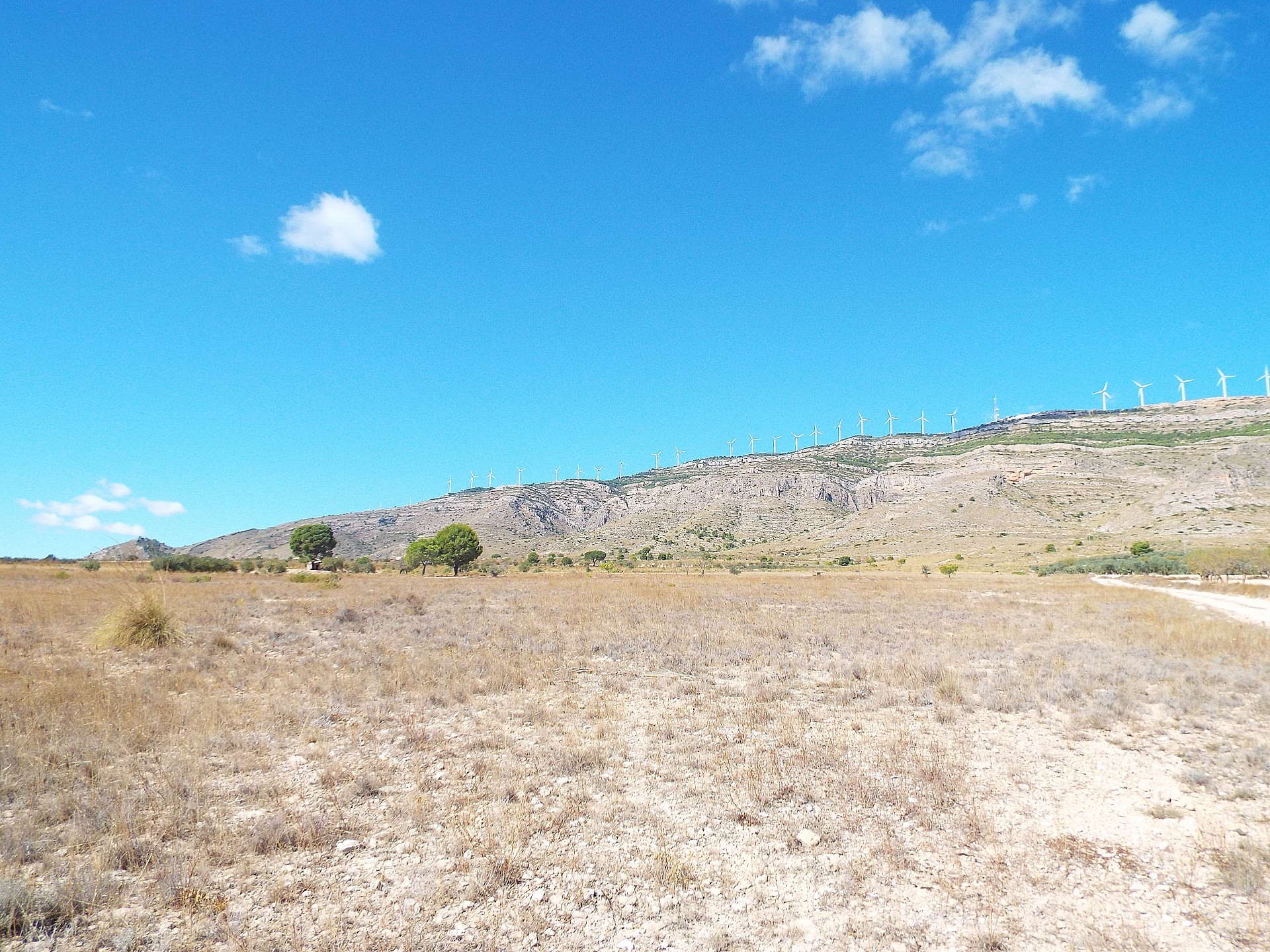 Resale - Land in Caudete -  - Albacete