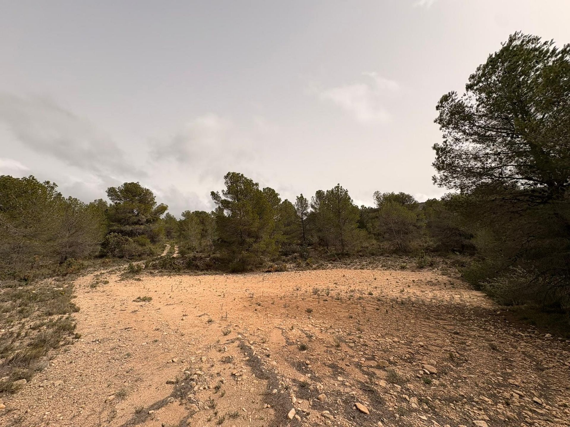 Resale - Land in Petrer -  - Alicante