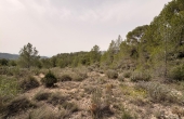 3-17061/5267, Land in Petrer