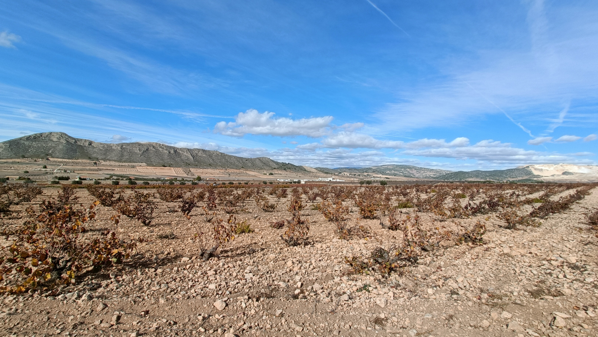 Resale - 3 Bedroom 2 Bathroom Villa in Cañada de la Leña -  - Murcia