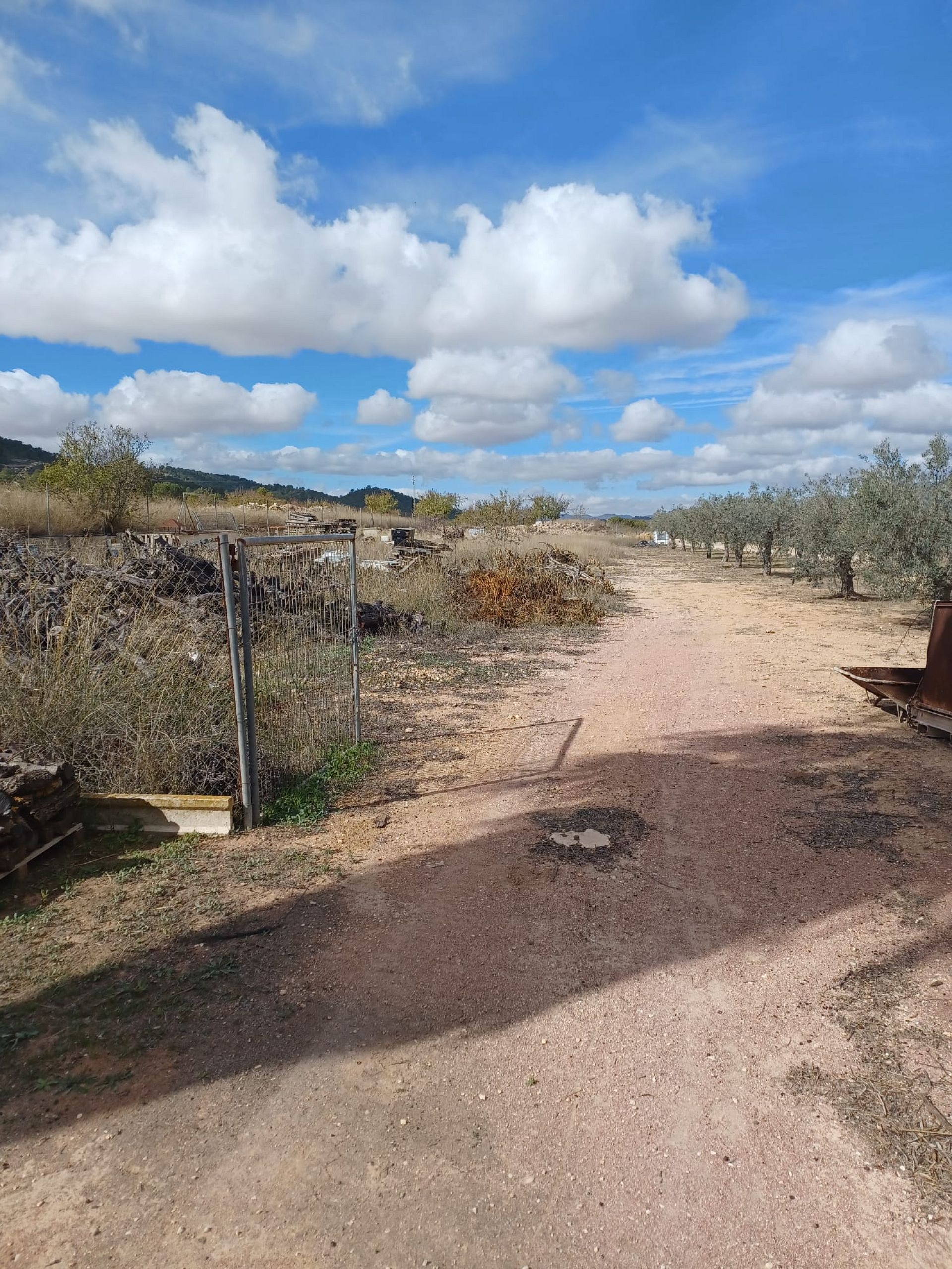 Resale - 4 Bedroom 2 Bathroom Country house in Monóvar -  - Alicante