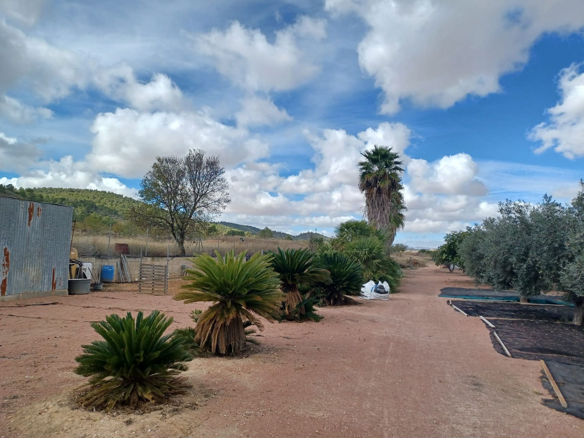 Resale - 4 Bedroom 2 Bathroom Country house in Monóvar -  - Alicante