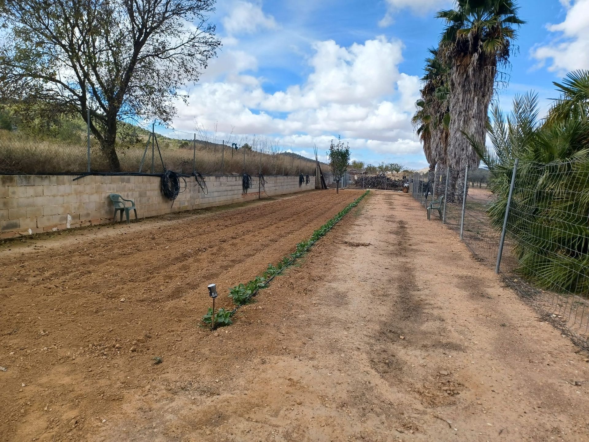 Resale - 4 Bedroom 2 Bathroom Country house in Monóvar -  - Alicante