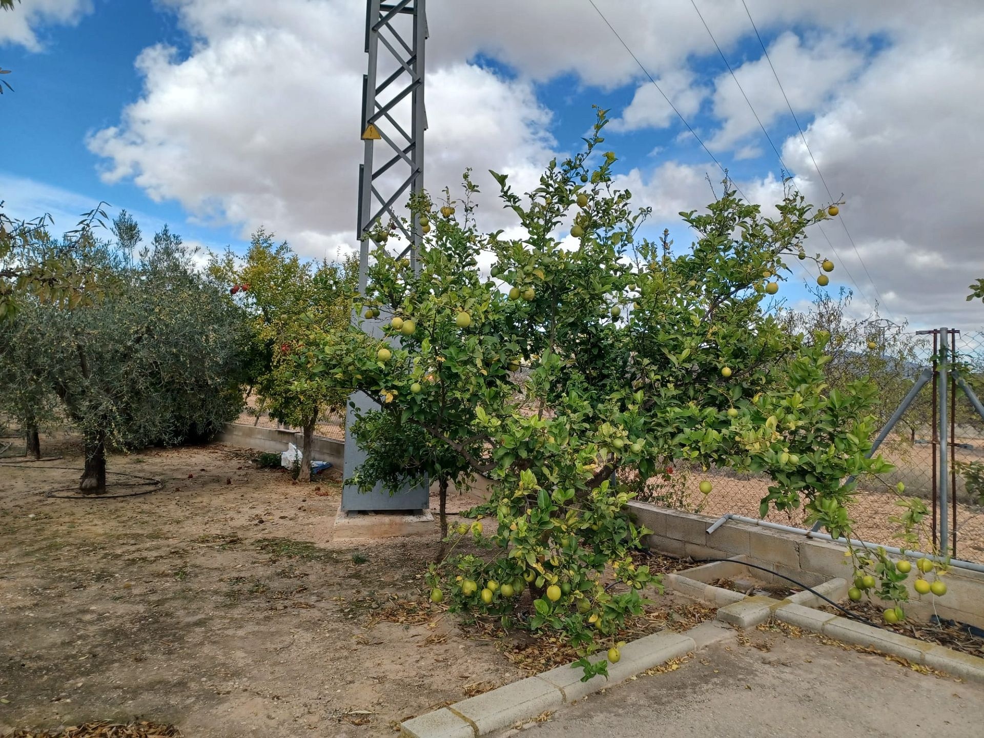 Resale - 4 Bedroom 2 Bathroom Country house in Monóvar -  - Alicante