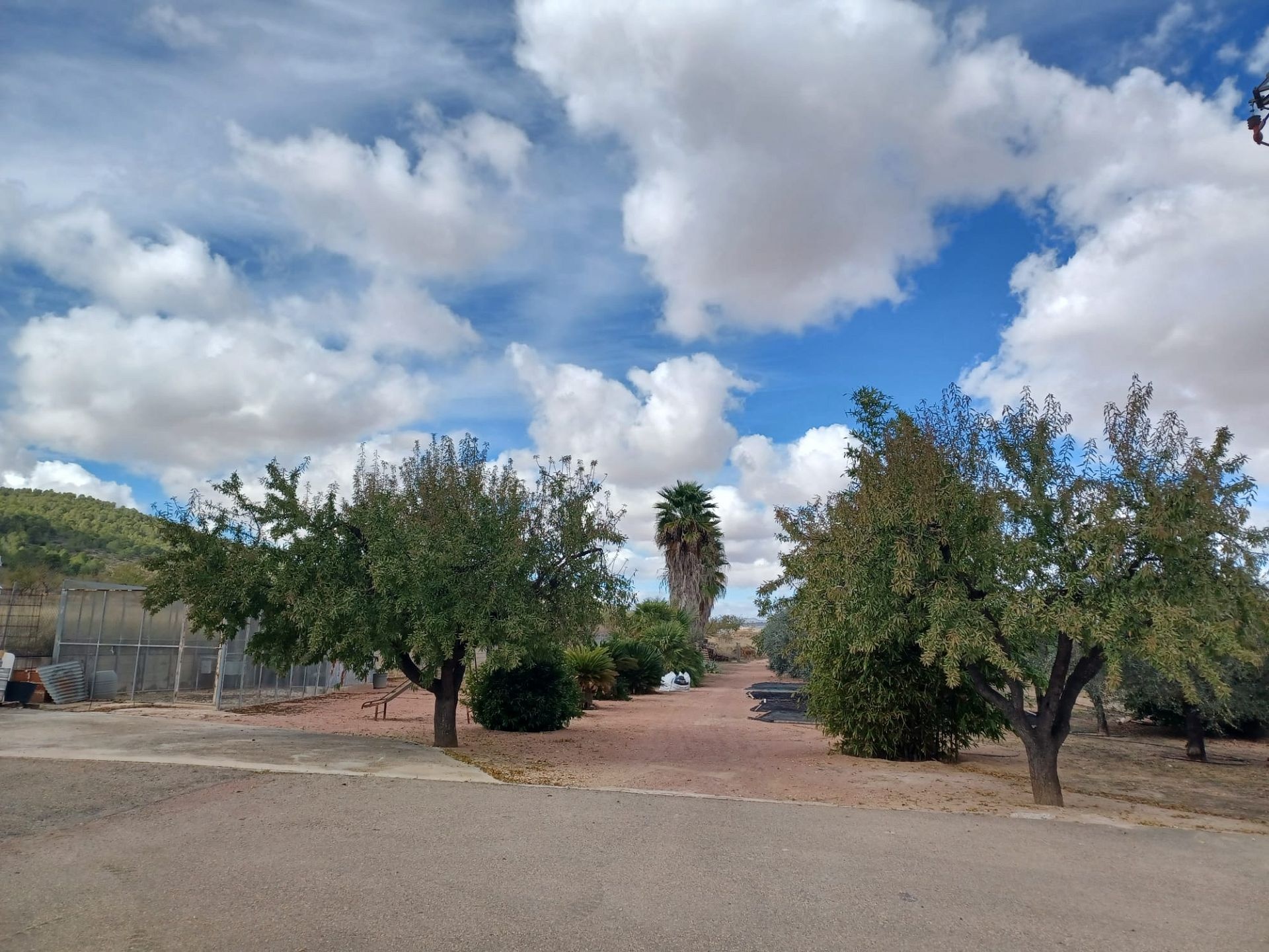 Resale - 4 Bedroom 2 Bathroom Country house in Monóvar -  - Alicante