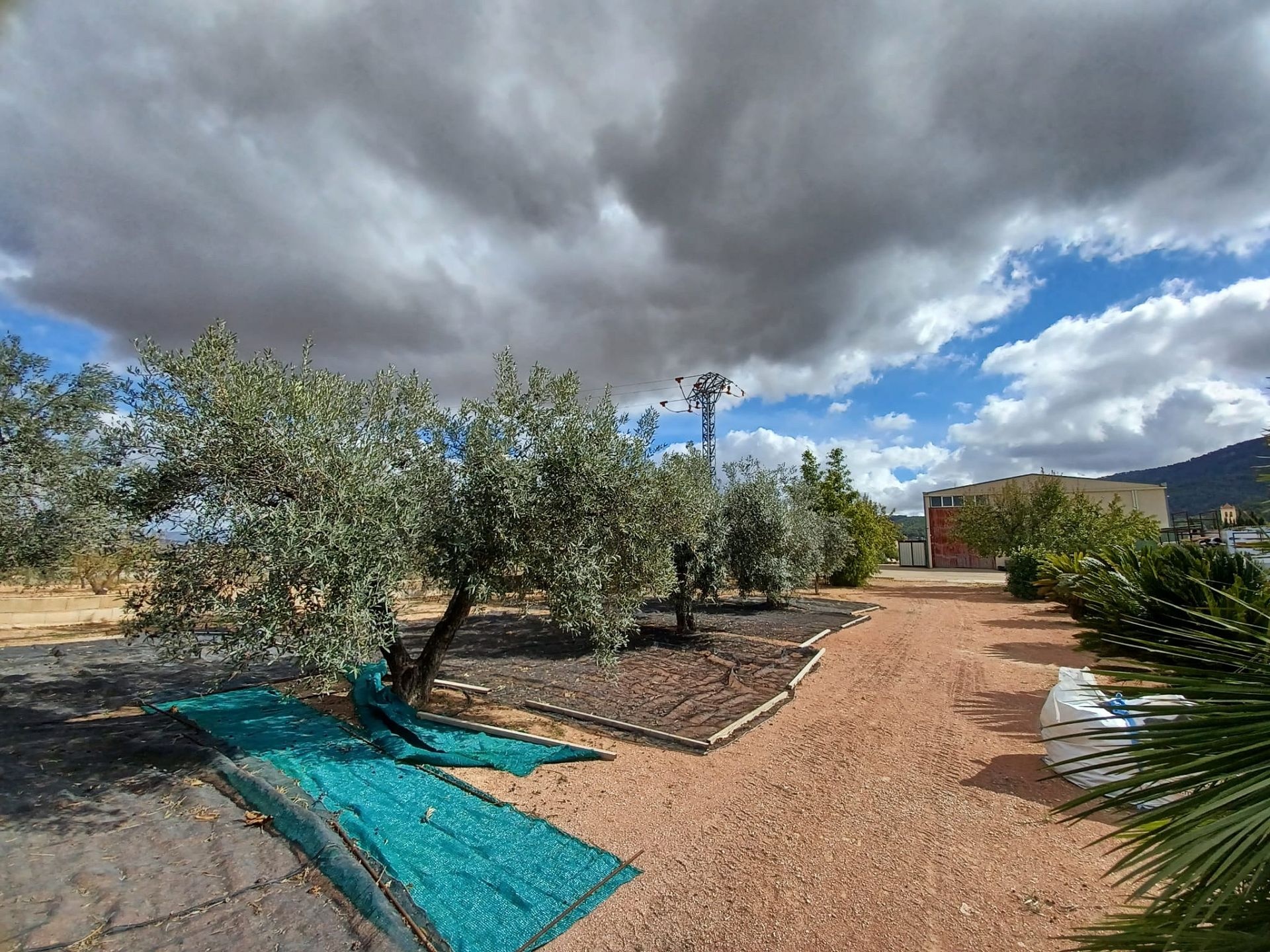 Resale - 4 Bedroom 2 Bathroom Country house in Monóvar -  - Alicante