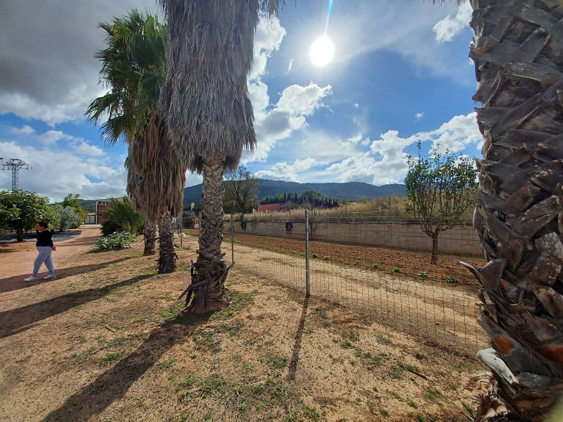 Resale - 4 Bedroom 2 Bathroom Country house in Monóvar -  - Alicante