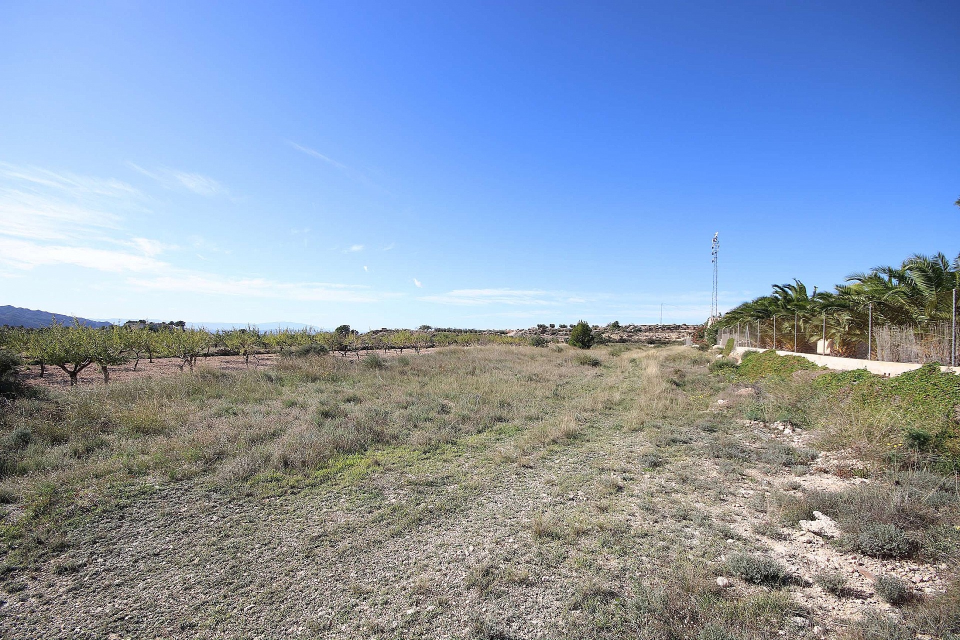 Resale - Land in Macisvenda -  - Murcia
