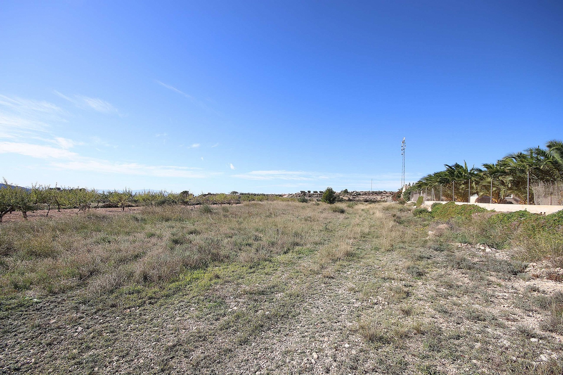 Resale - Land in Macisvenda -  - Murcia