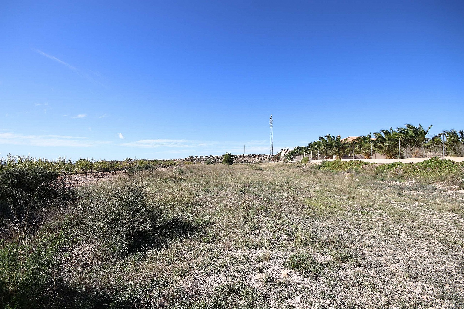 Resale - Land in Macisvenda -  - Murcia