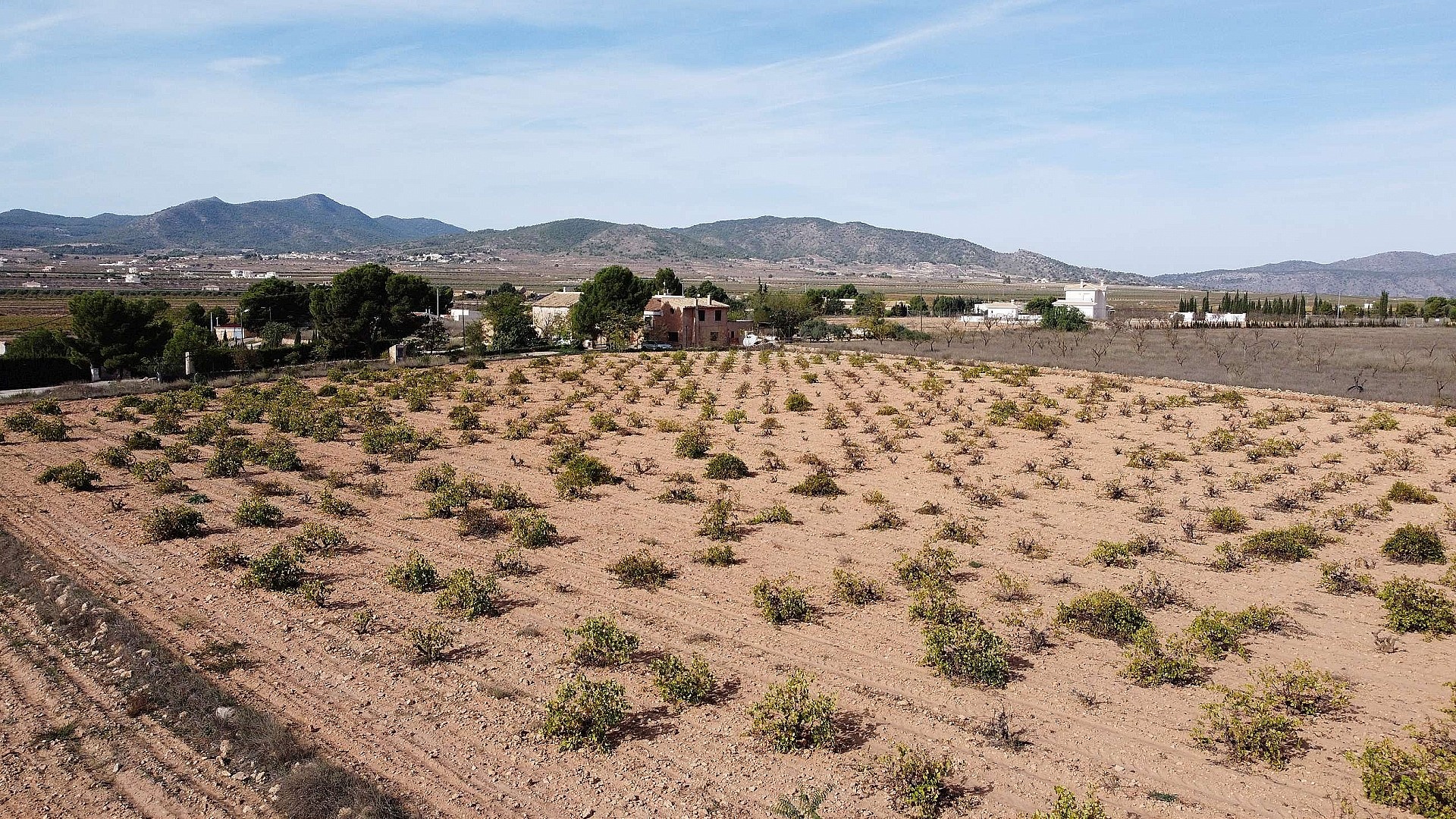 Resale - Land in Pinoso -  - Alicante