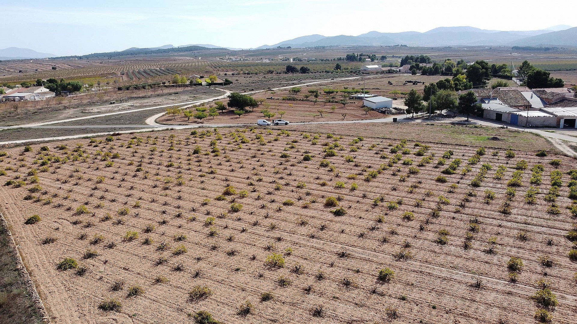 Resale - Land in Pinoso -  - Alicante