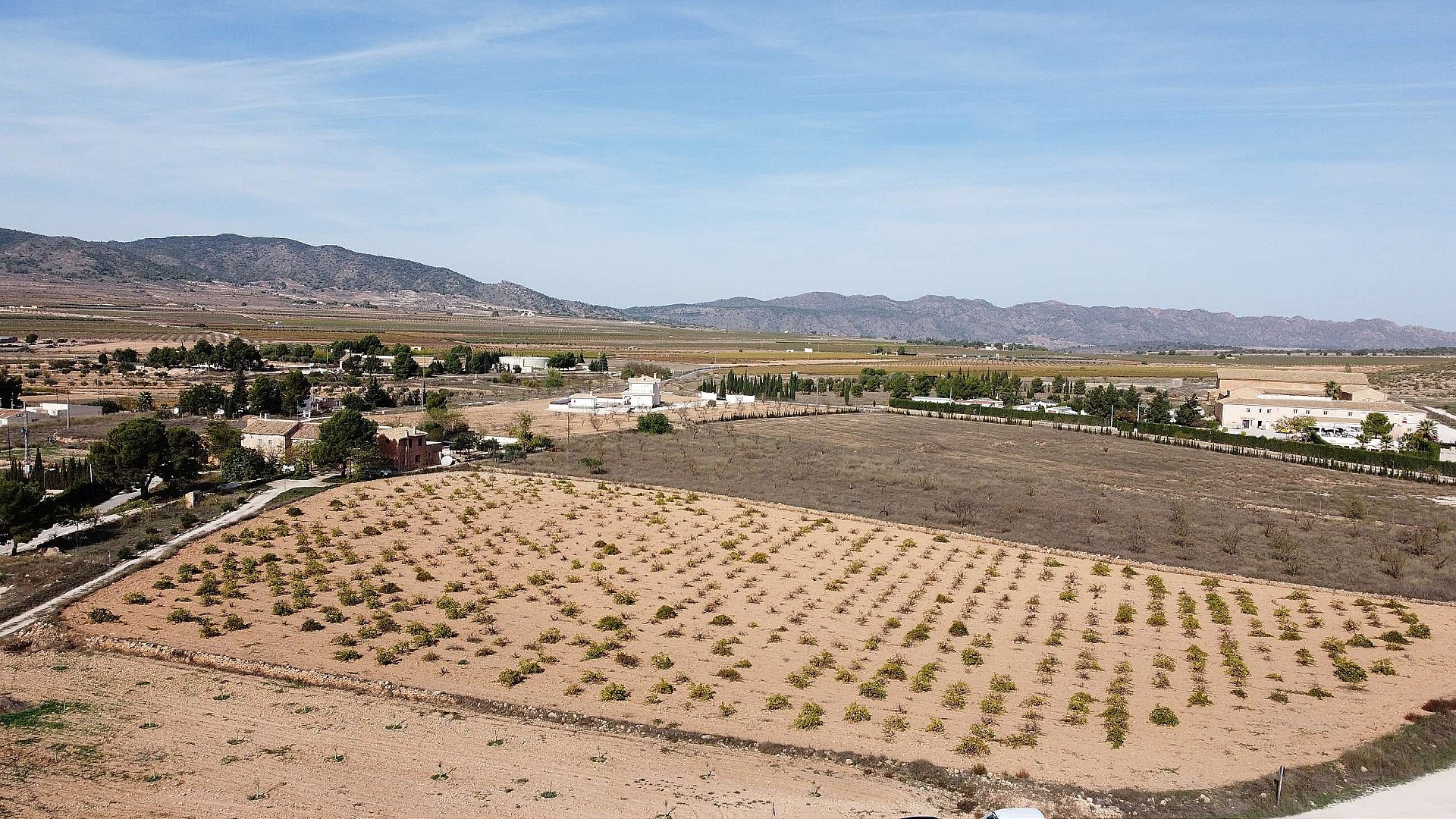 Resale - Land in Pinoso -  - Alicante