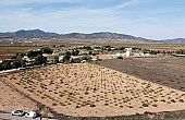 Land in Pinoso