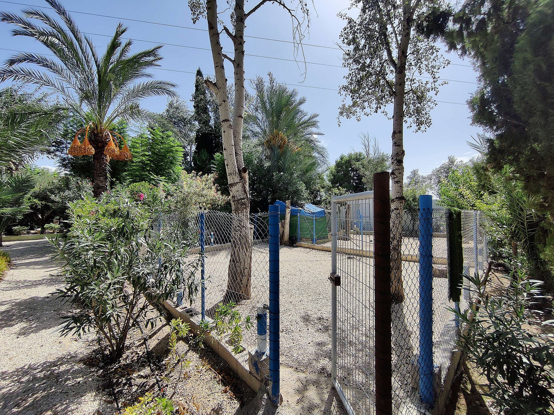 Resale - 3 Bedroom 2 Bathroom Country house in Crevillente -  - Alicante