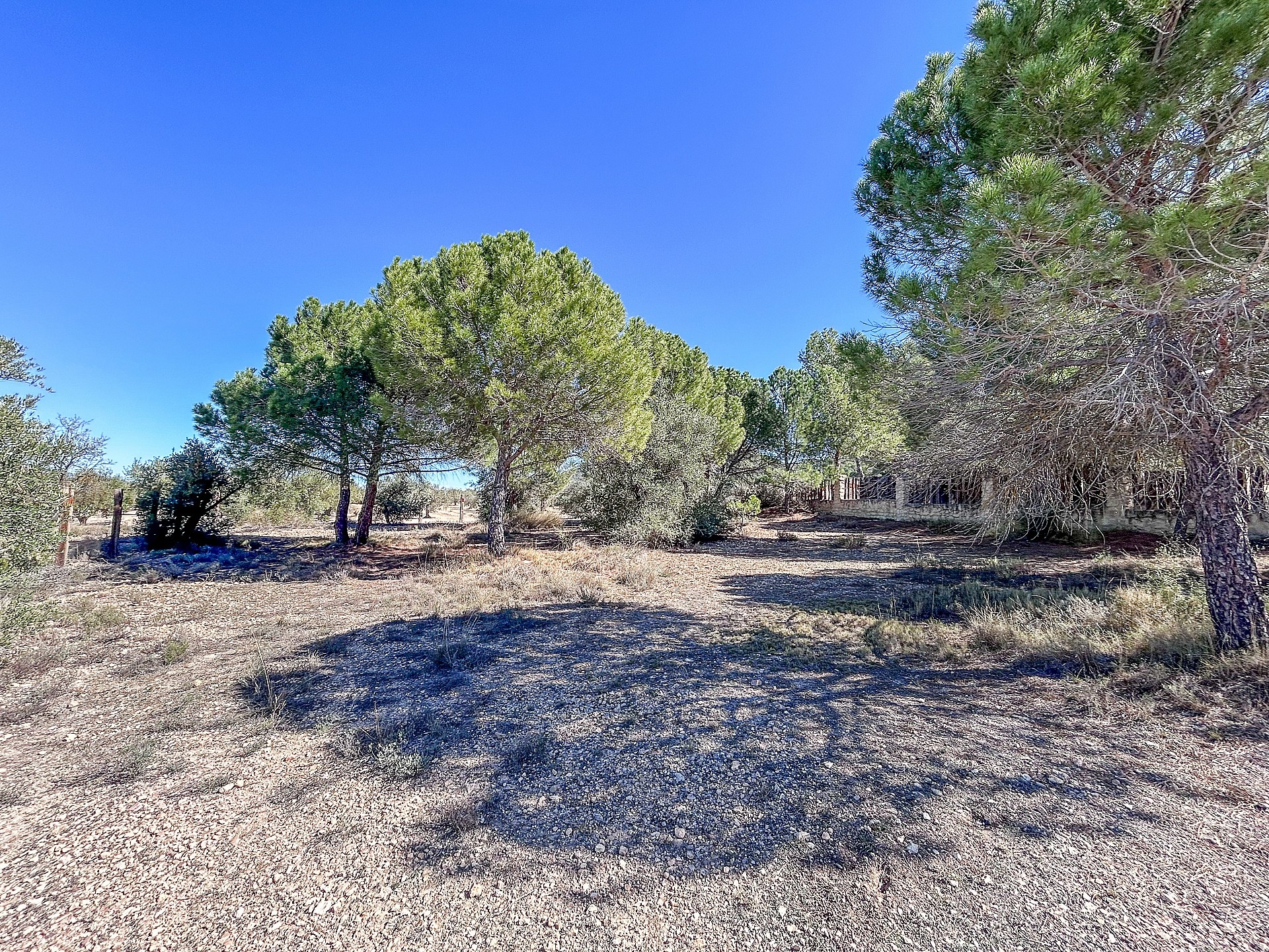 Resale - 9 Bedroom 3 Bathroom Villa in Biar -  - Alicante